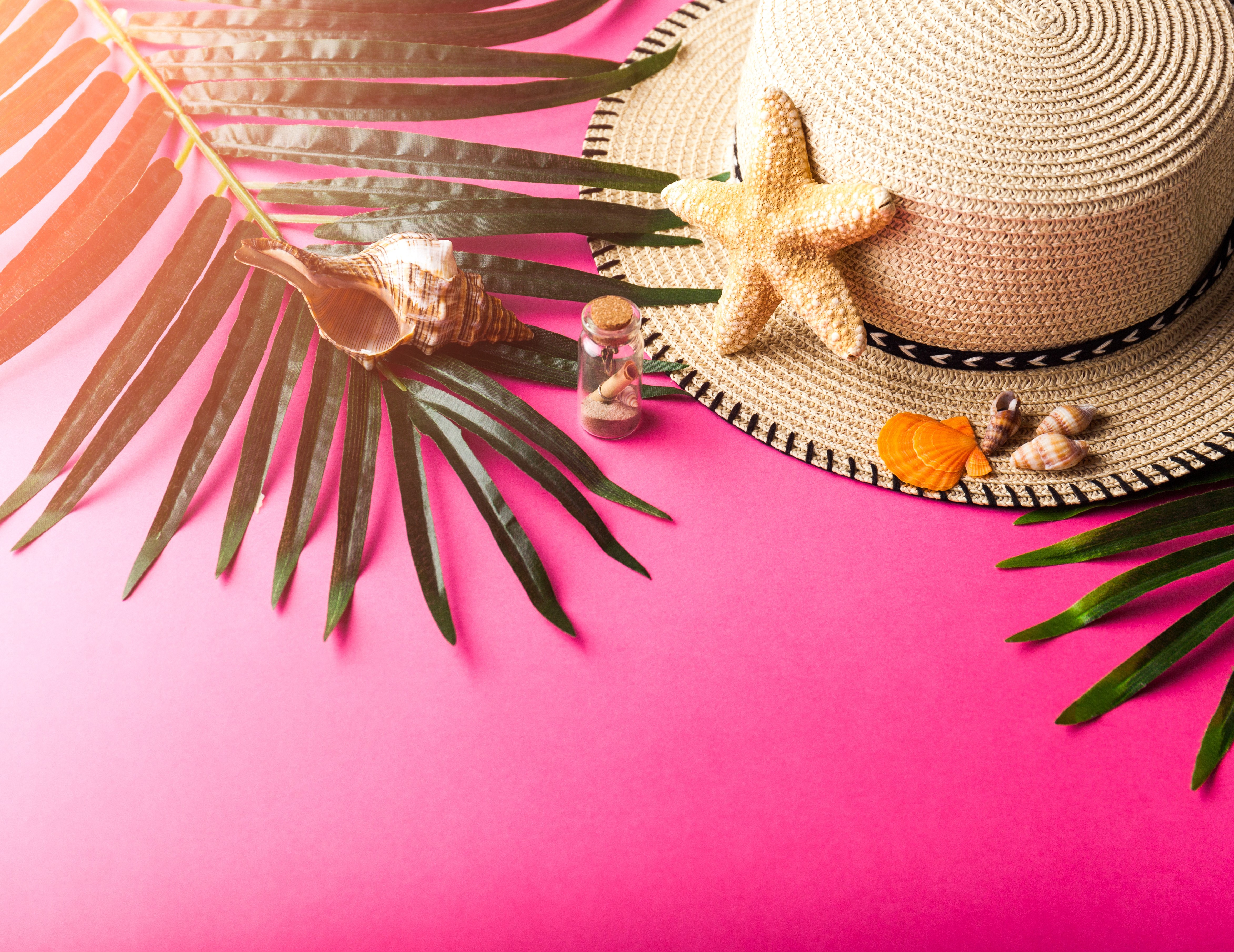 Summer hat with shells and palm leaves on pink background HD Wallpaper