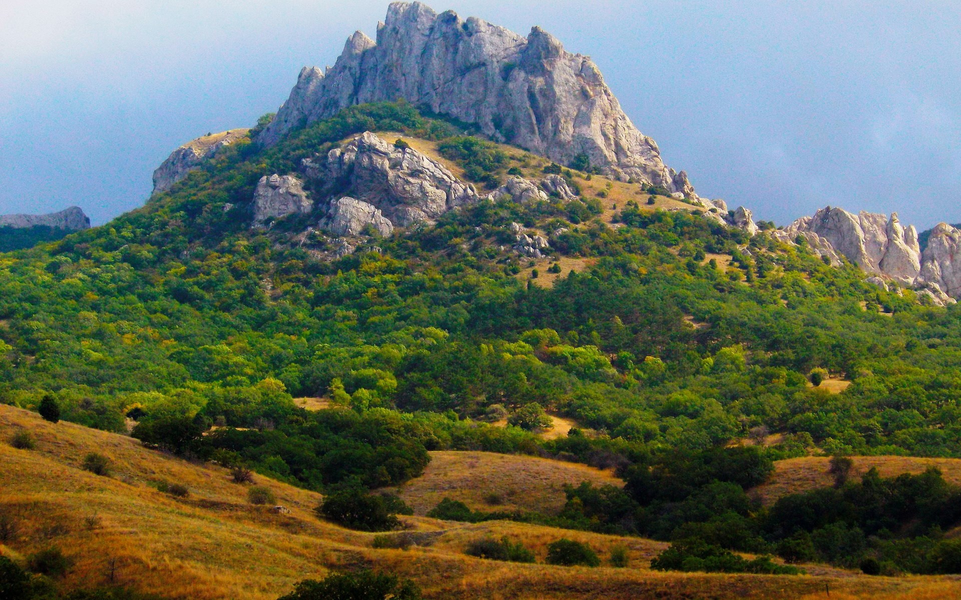 Rocky mountain peak covered in green trees HD Wallpaper