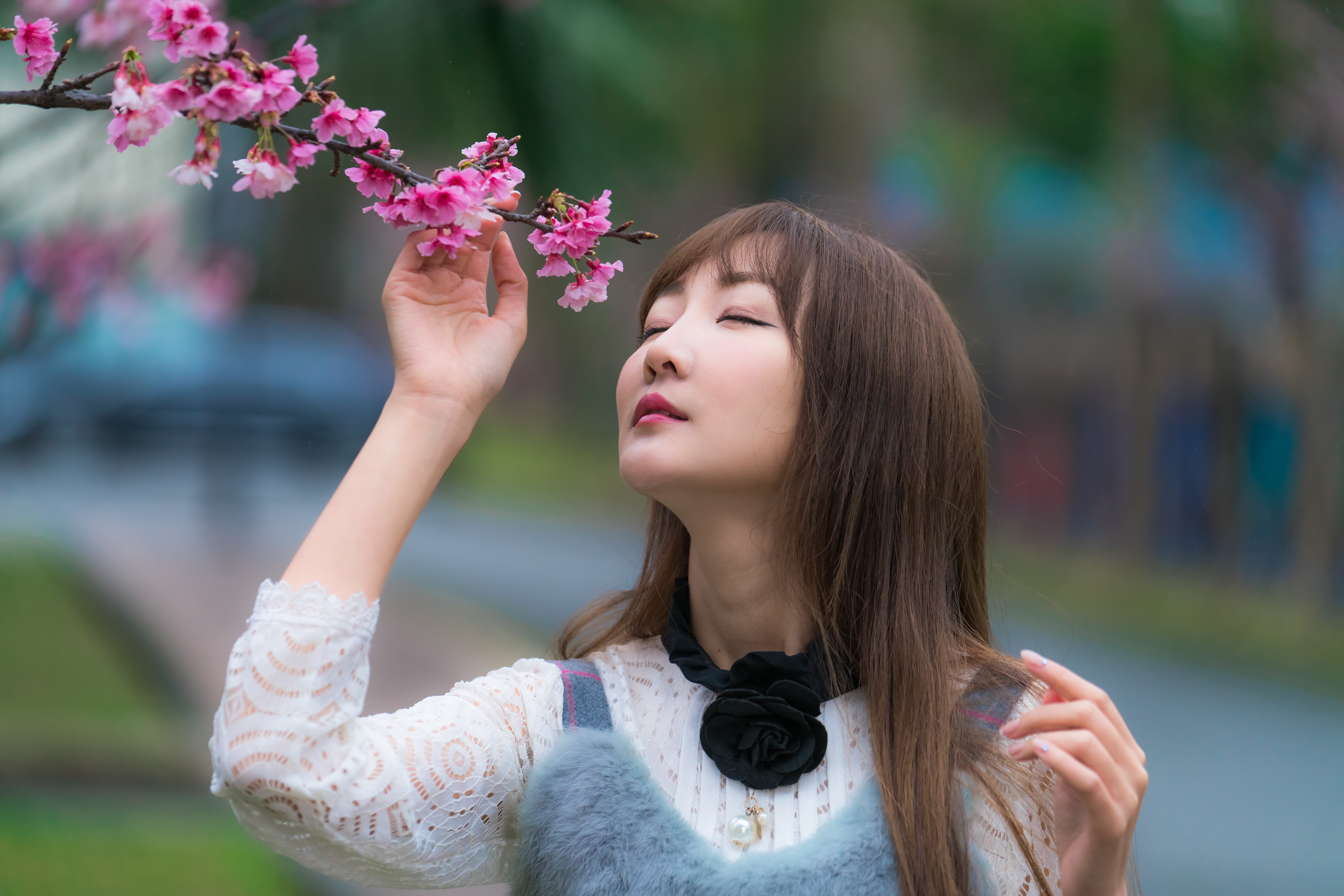 Asian woman smelling cherry blossoms HD Wallpaper