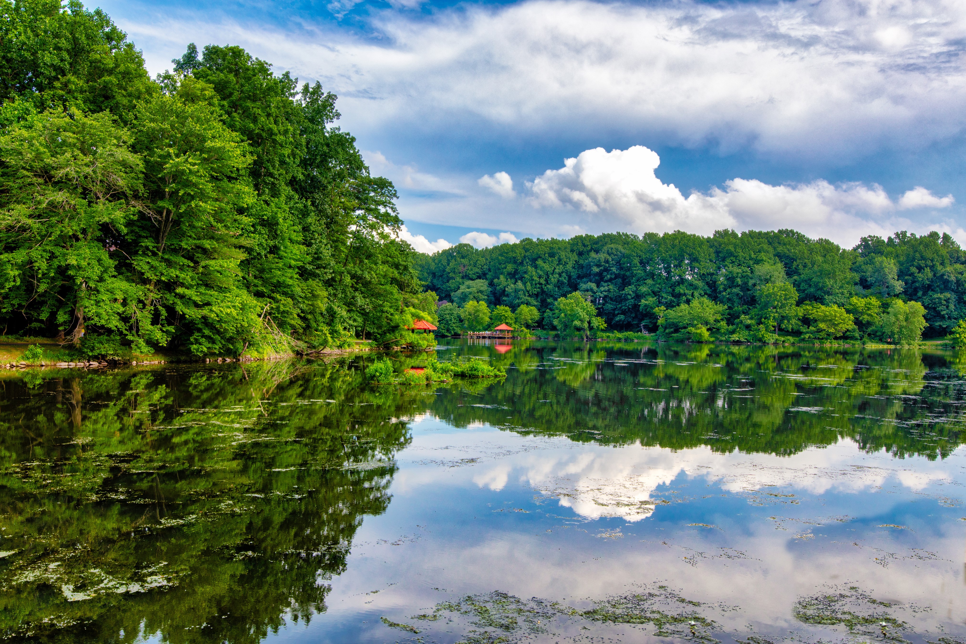 Lake Elkhorn in Columbia, Maryland with Forest Reflection HD Wallpaper