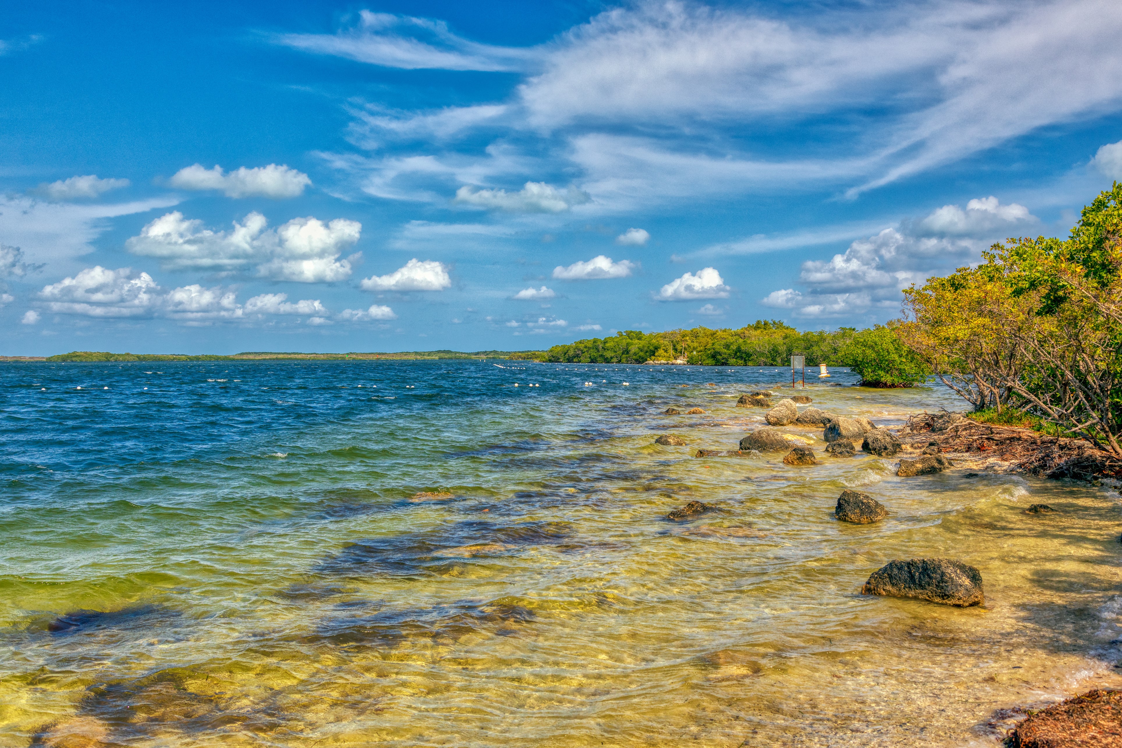 Florida Bay Coastline with Stones and Trees HD Wallpaper
