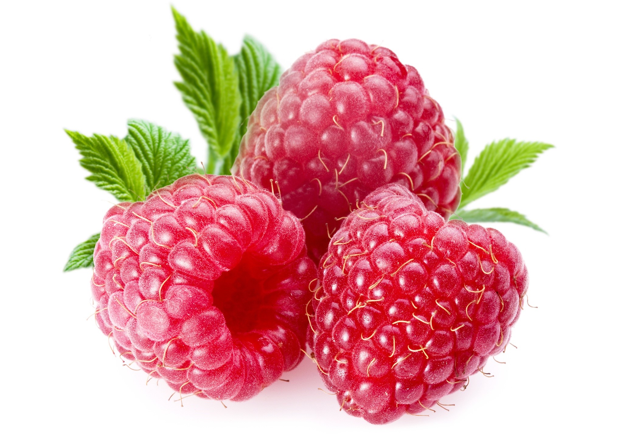 Three raspberries with green leaves on white background HD Wallpaper