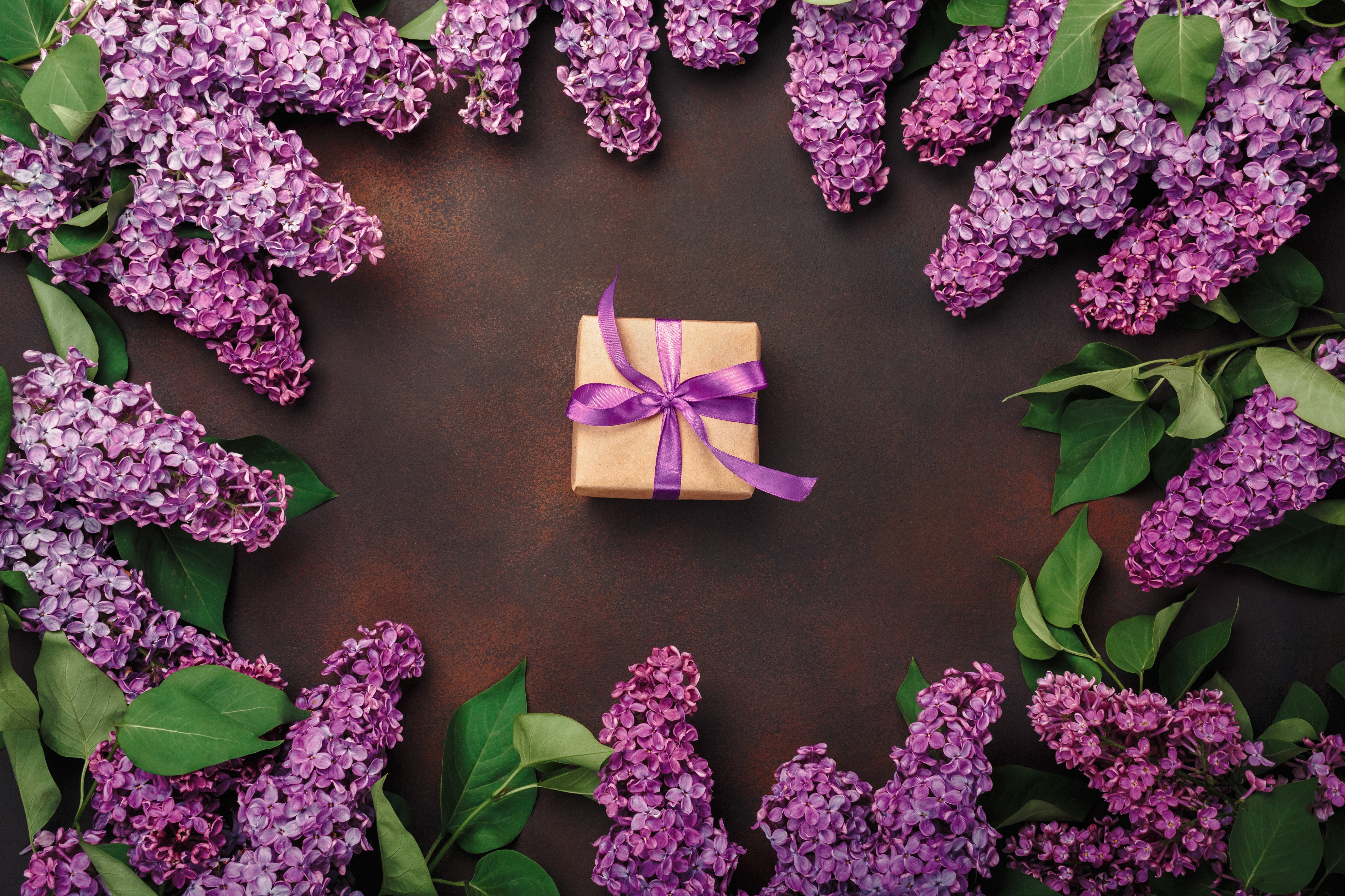 Lilac flowers and a gift box HD Wallpaper