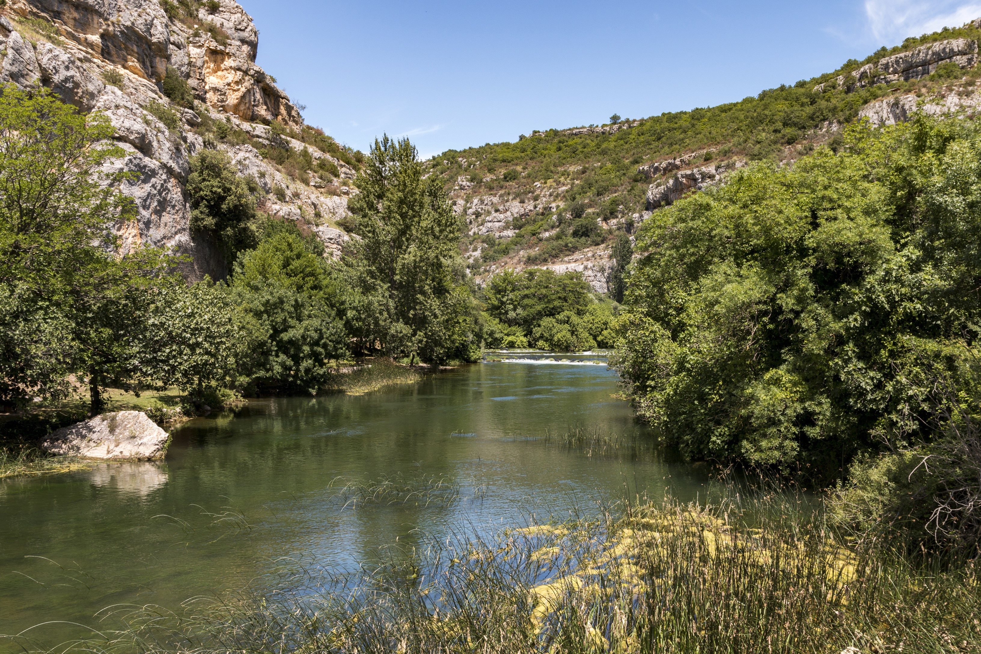 River flowing through a canyon with trees and rocky cliffs HD Wallpaper