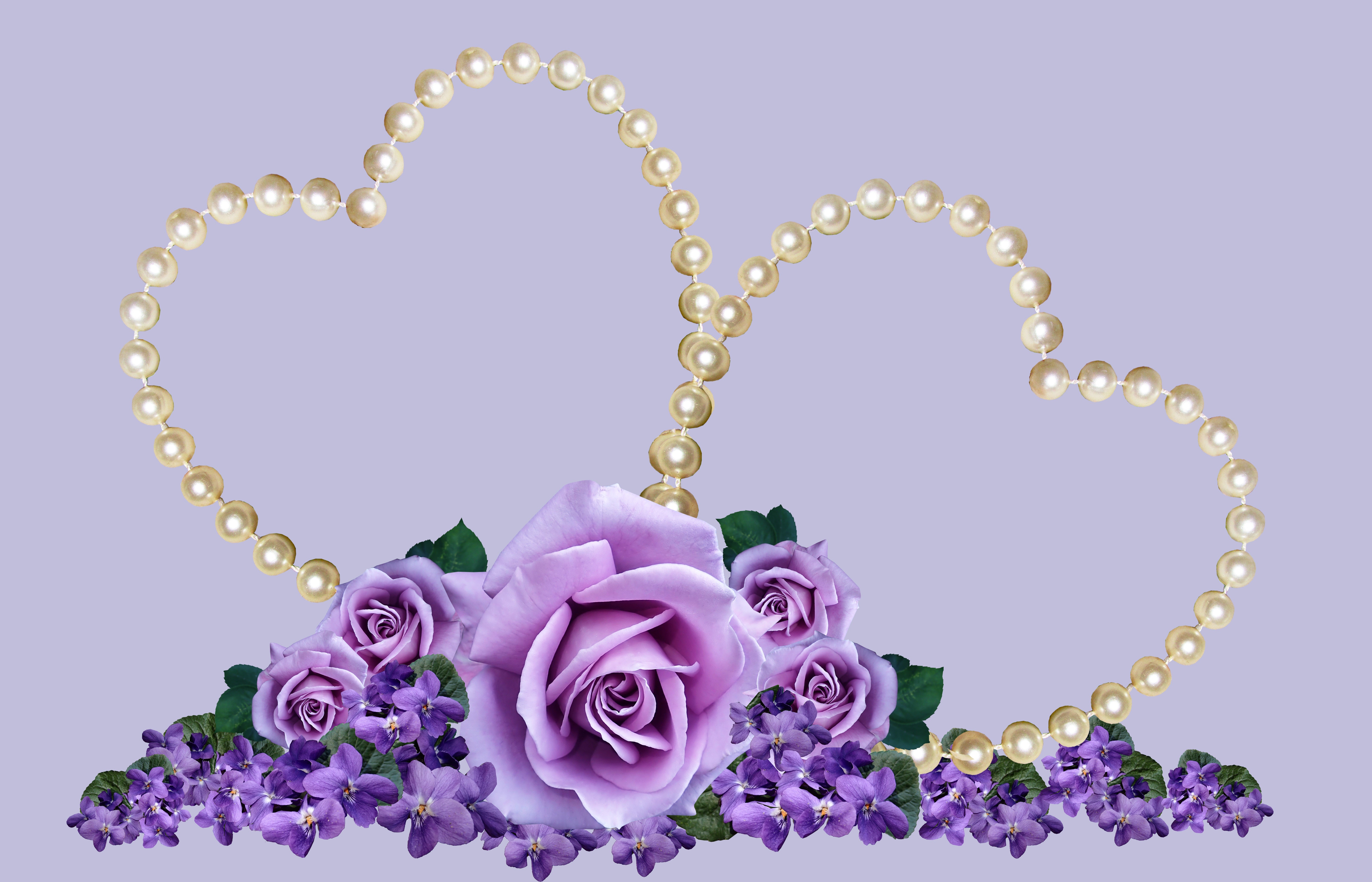 Pearl hearts with purple roses and violets HD Wallpaper