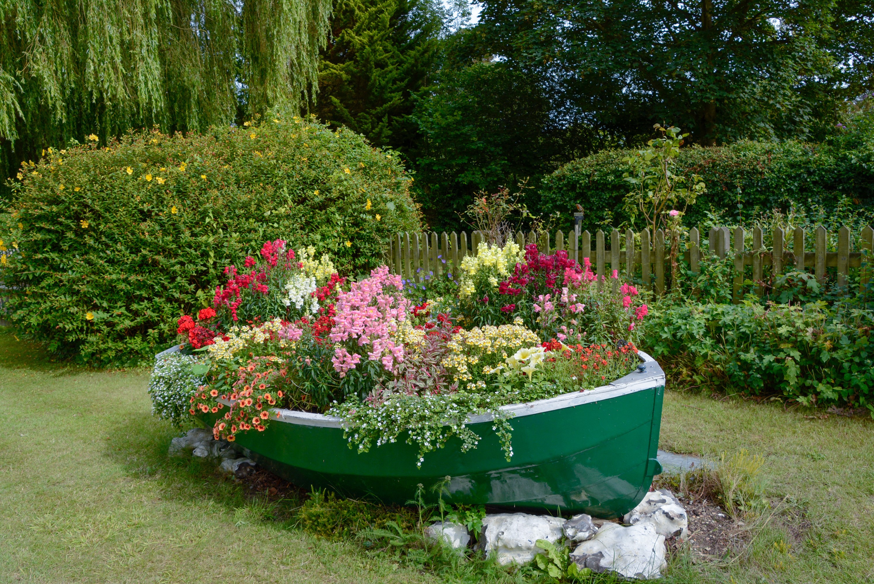 Boat planter filled with colorful flowers in a garden HD Wallpaper