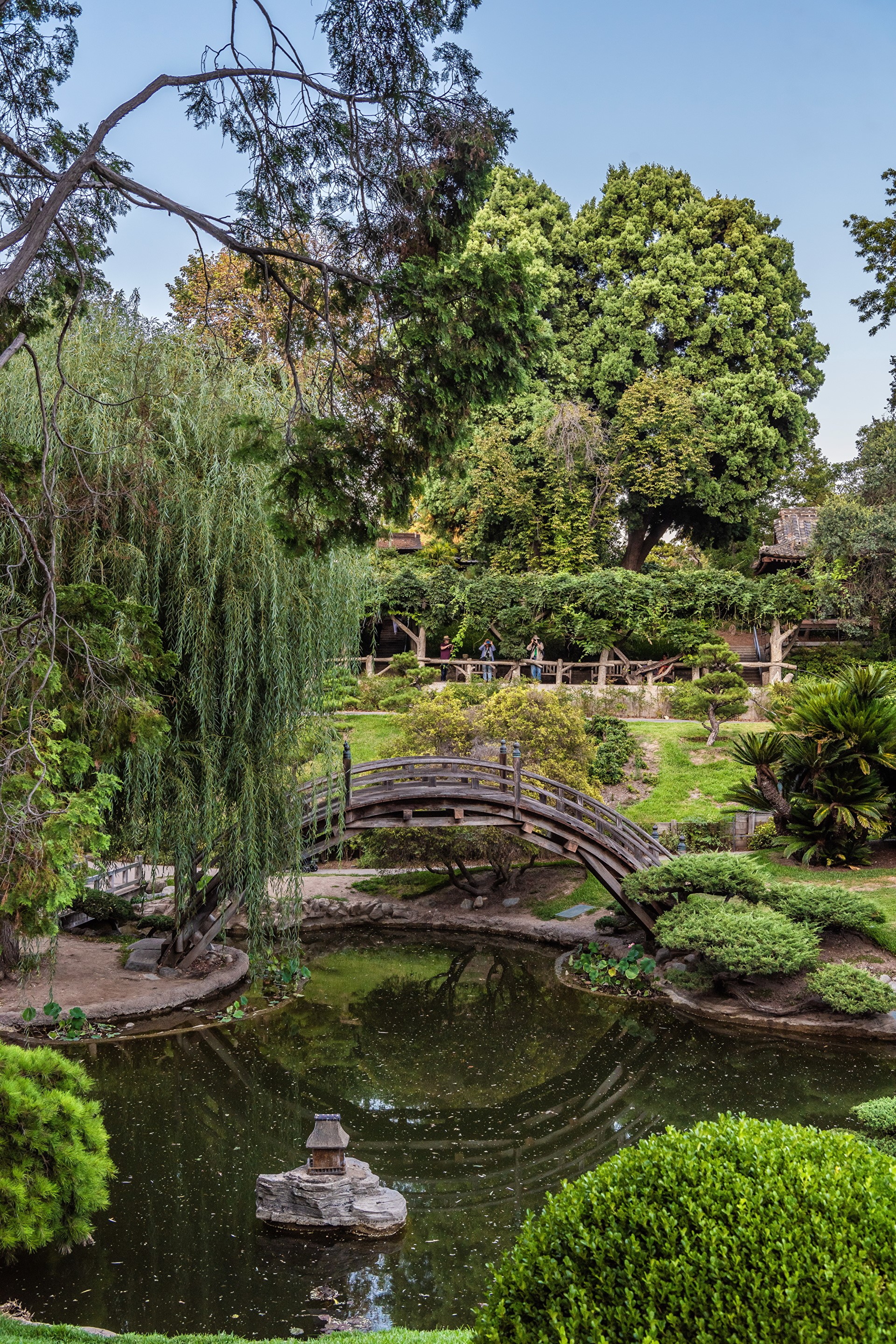 Japanese Garden with Pond and Bridge in San Marino HD Phone Wallpaper