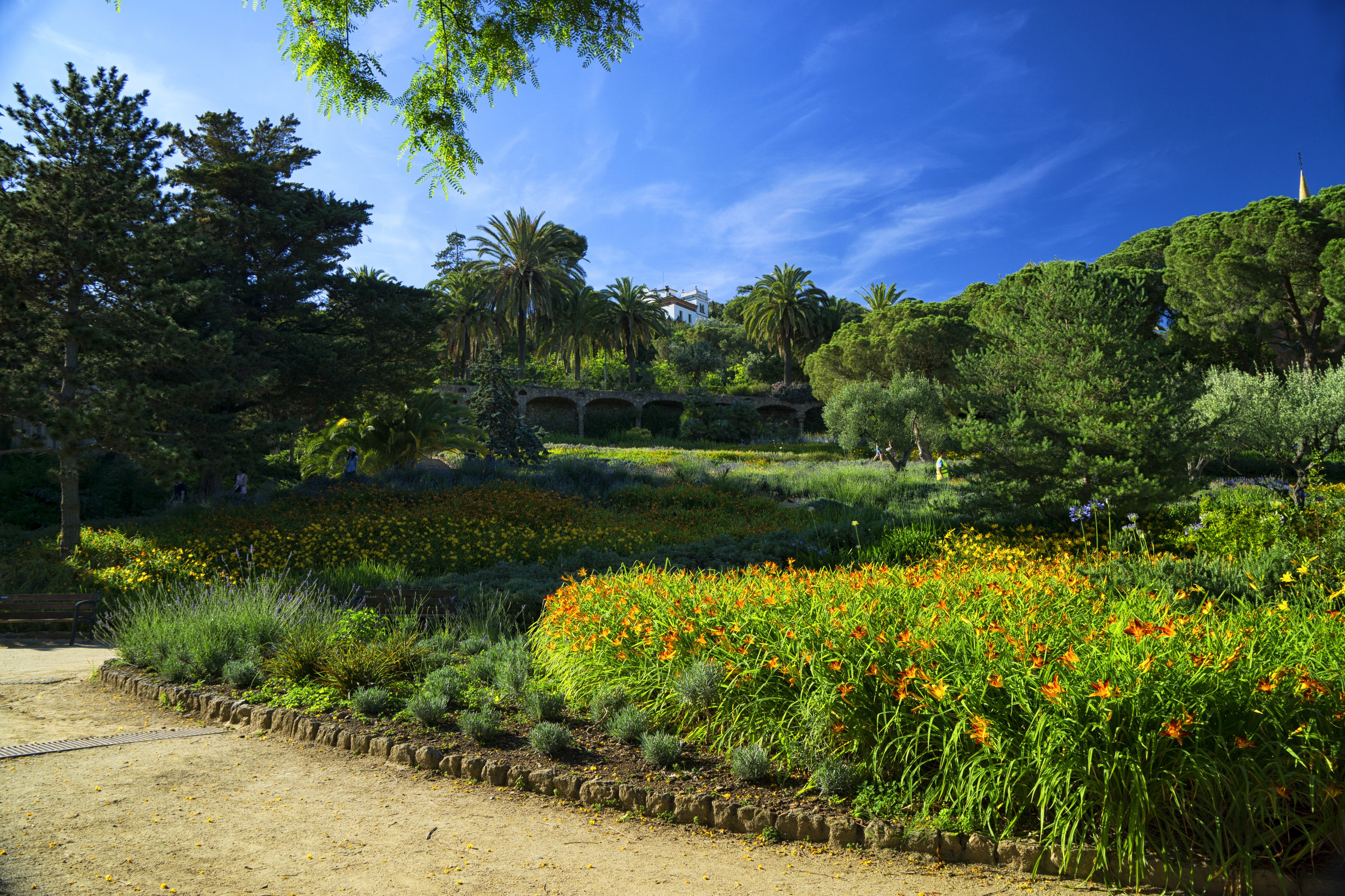 Park in Barcelona, Spain HD Wallpaper