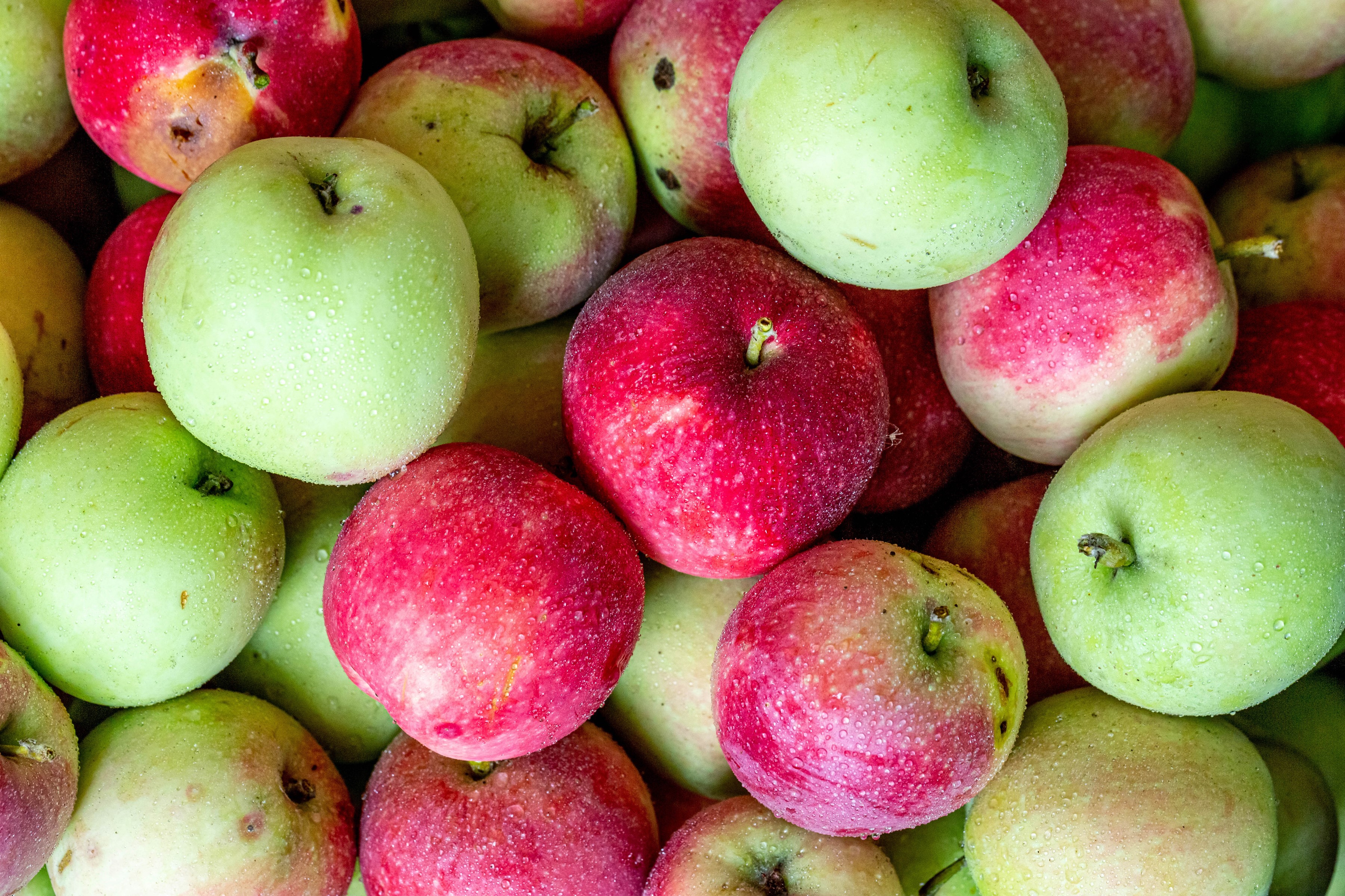 Close-up of red and green apples HD Wallpaper