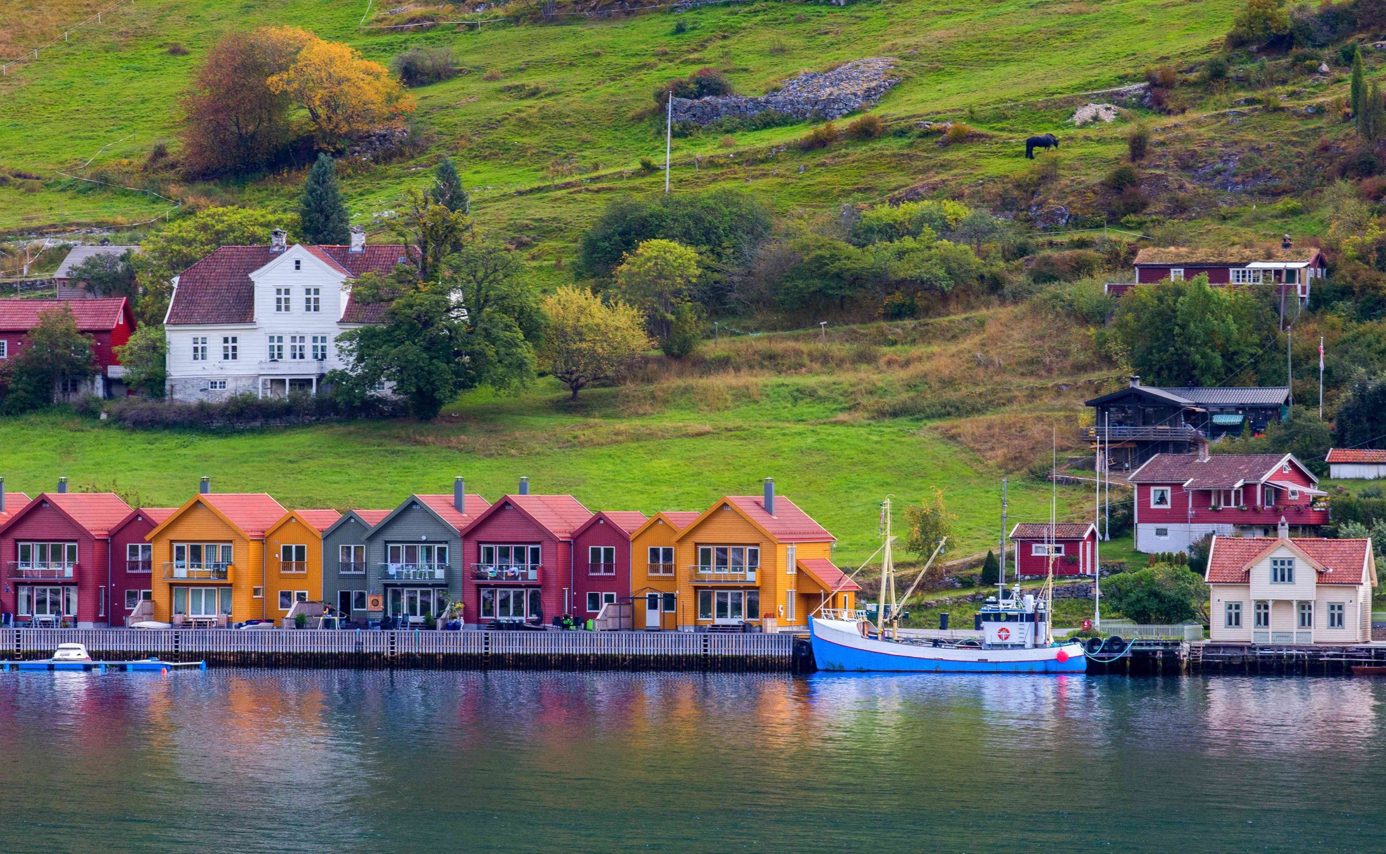 Colorful houses and boats in Port de Kaupanger, Norway HD Wallpaper