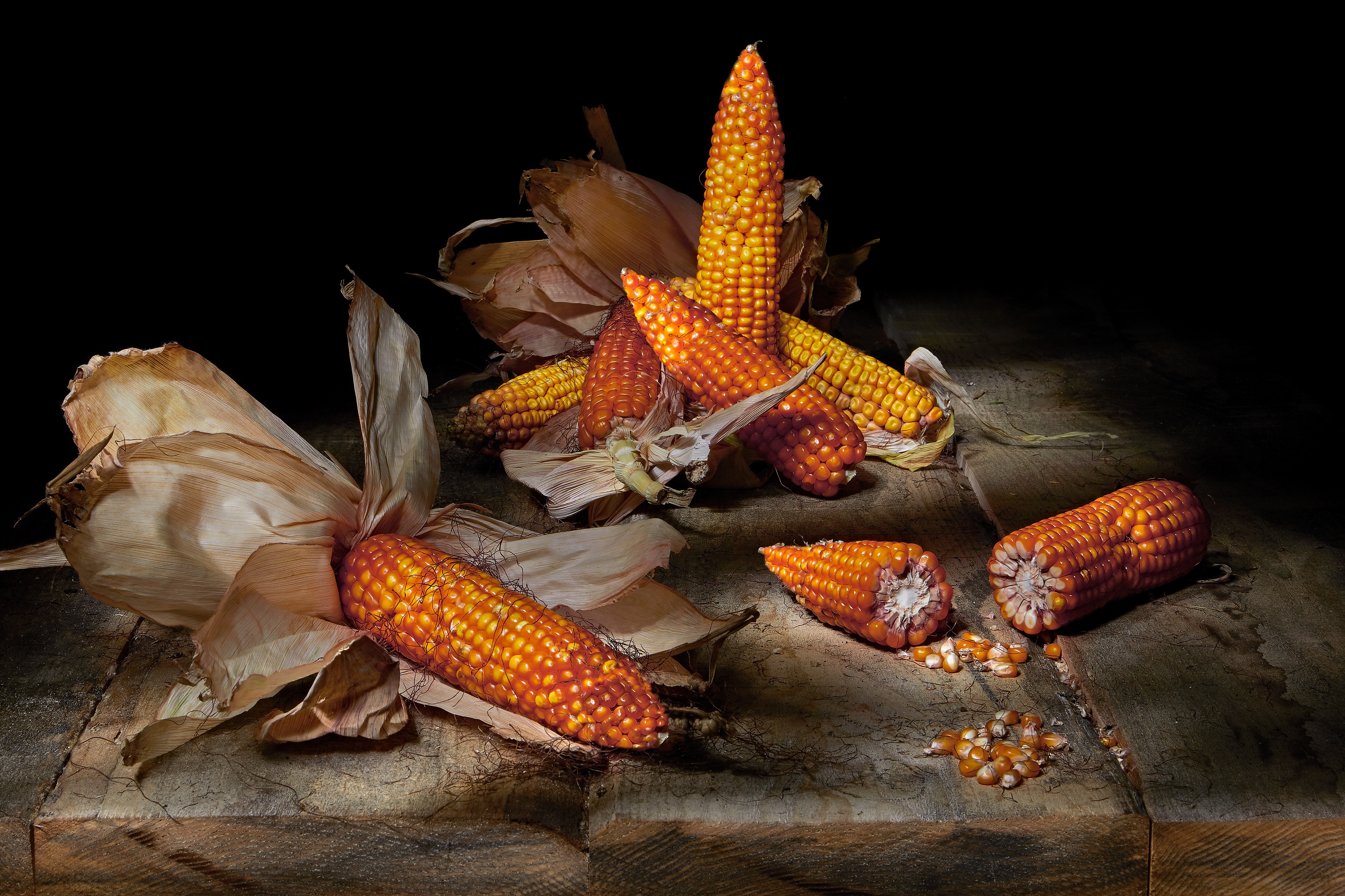 Corn still-life HD Wallpaper