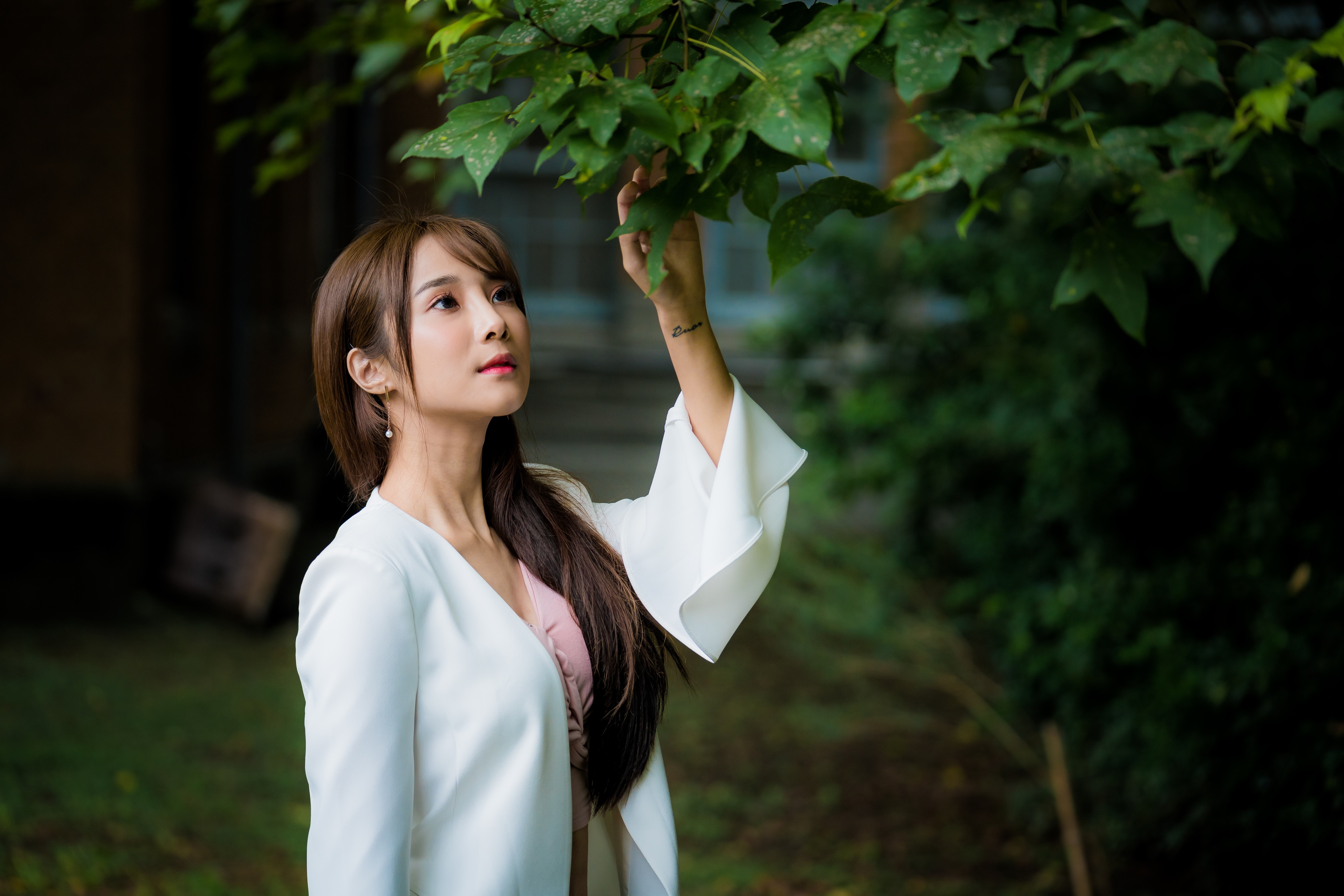 Asian woman with brown hair touching branches HD Wallpaper