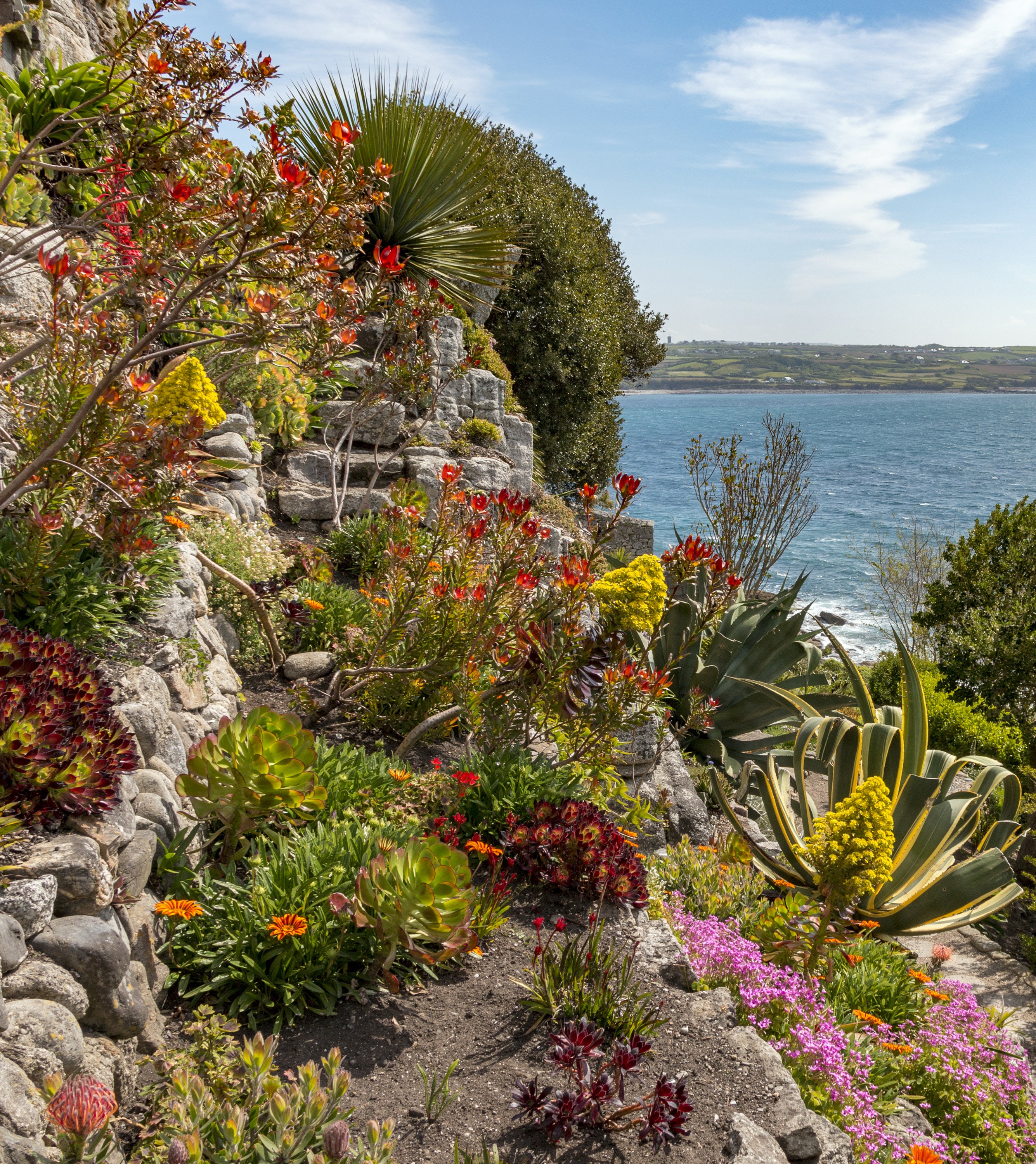 Coastal garden with succulents and sea view HD Wallpaper