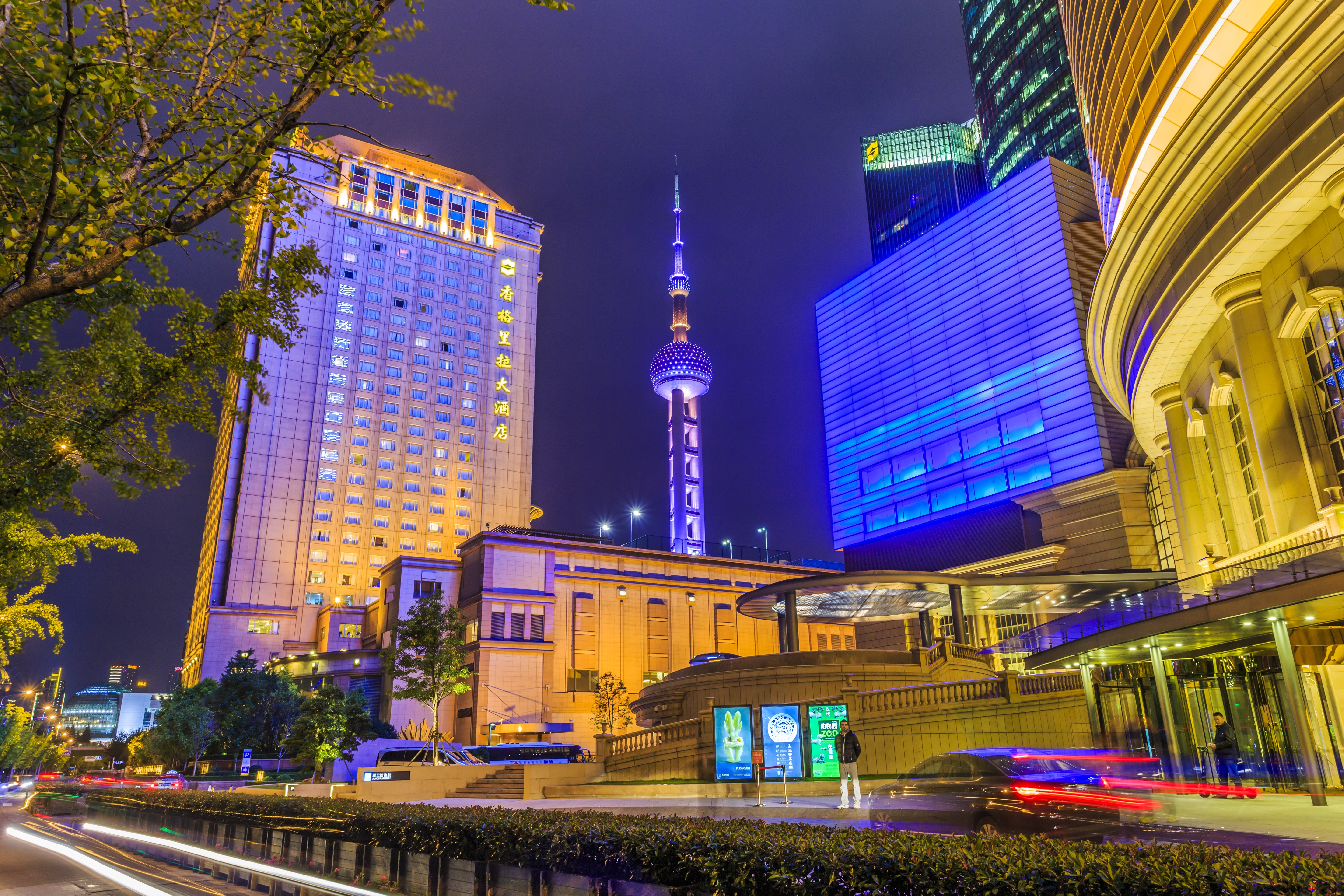 Shanghai Oriental Pearl Tower at Night HD Wallpaper