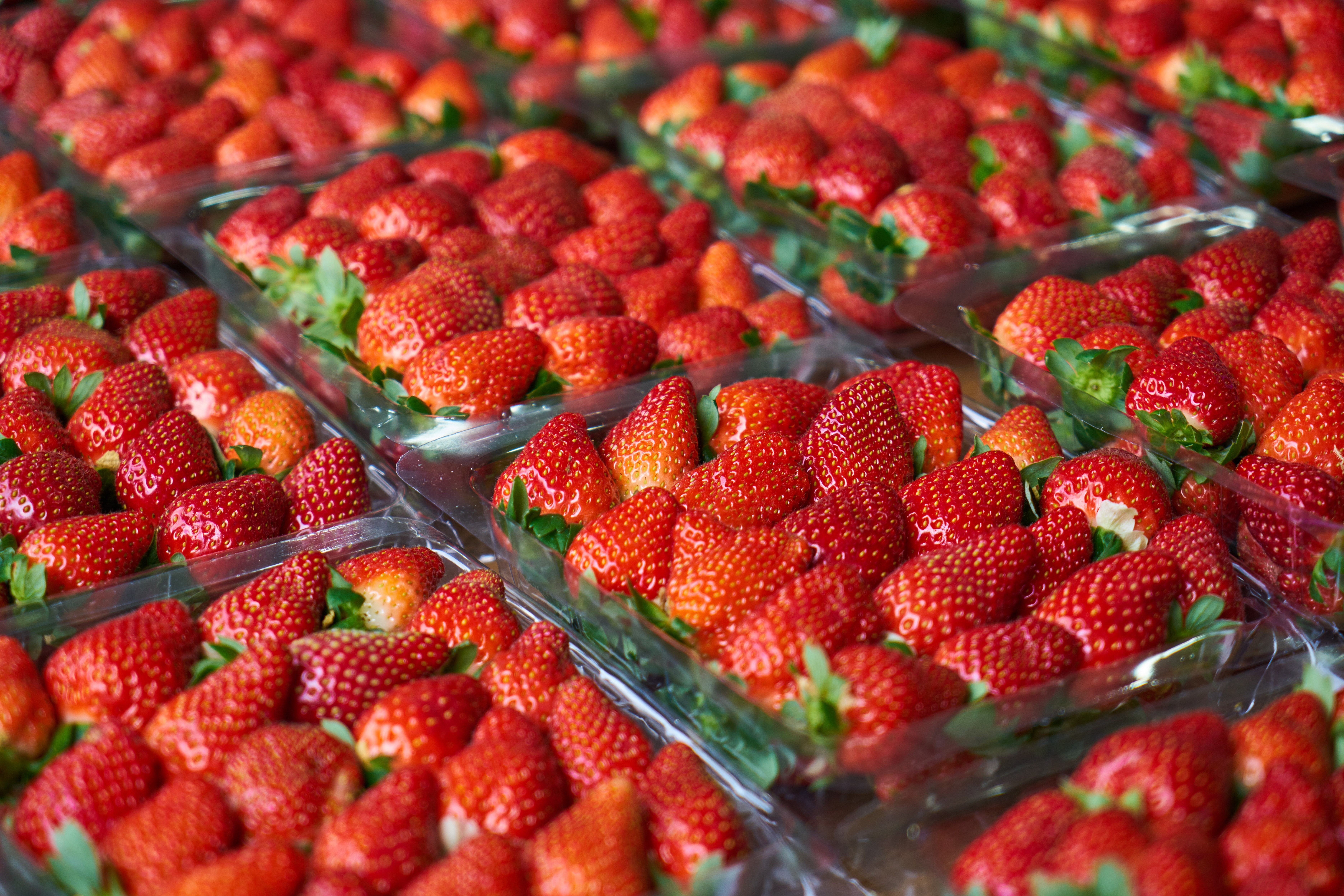 Many strawberries in plastic containers HD Wallpaper