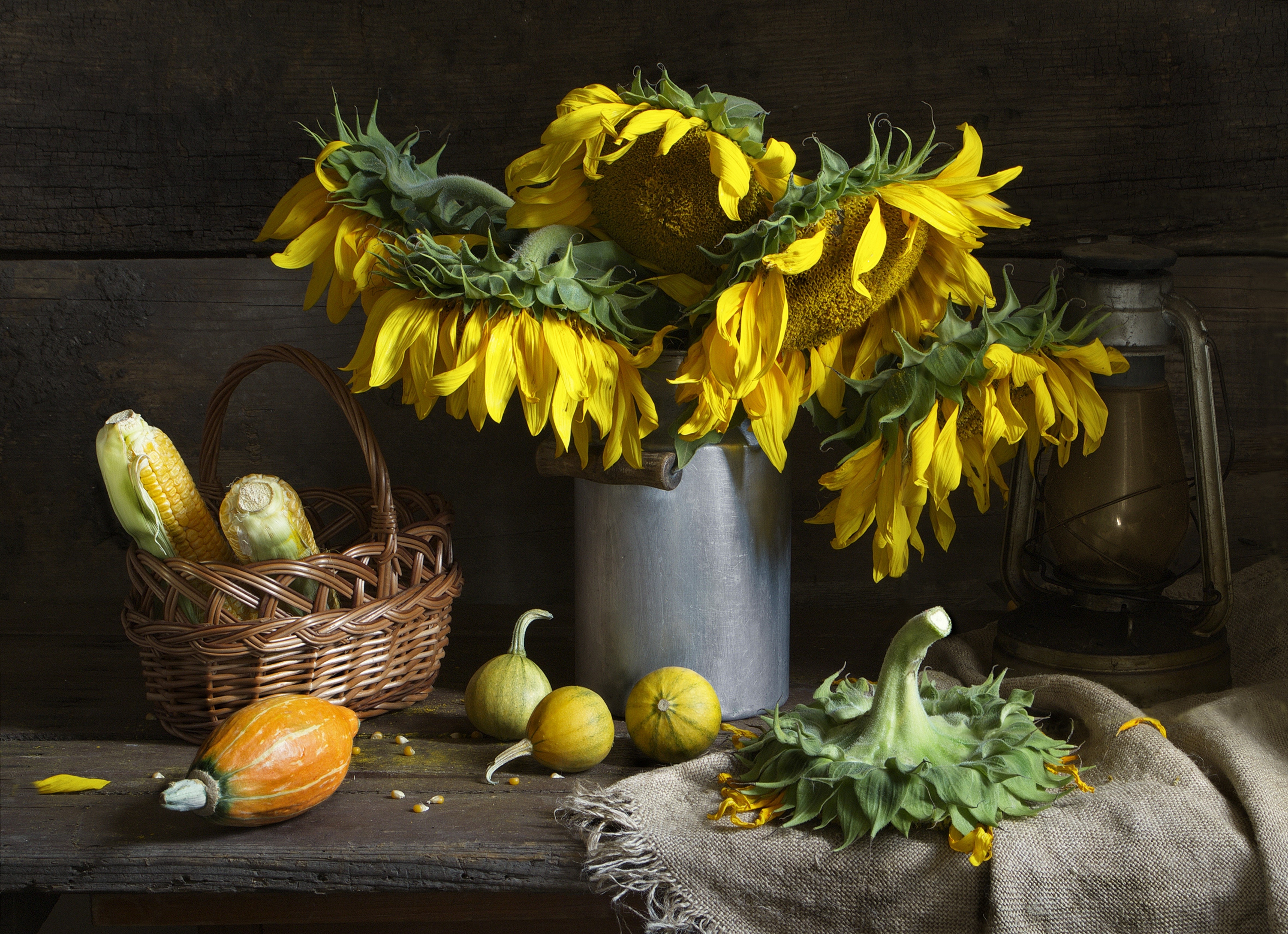 Still-life with Sunflowers, Corn, and Gourds HD Wallpaper