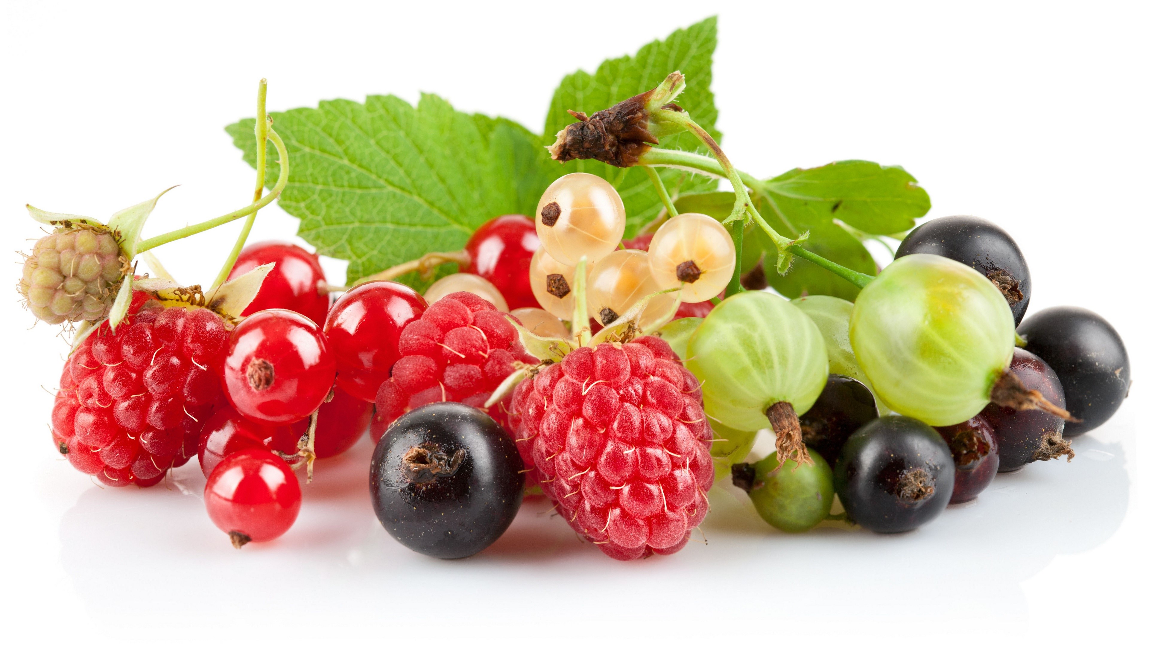 Raspberries, Gooseberries, and Currants with Leaves HD Wallpaper