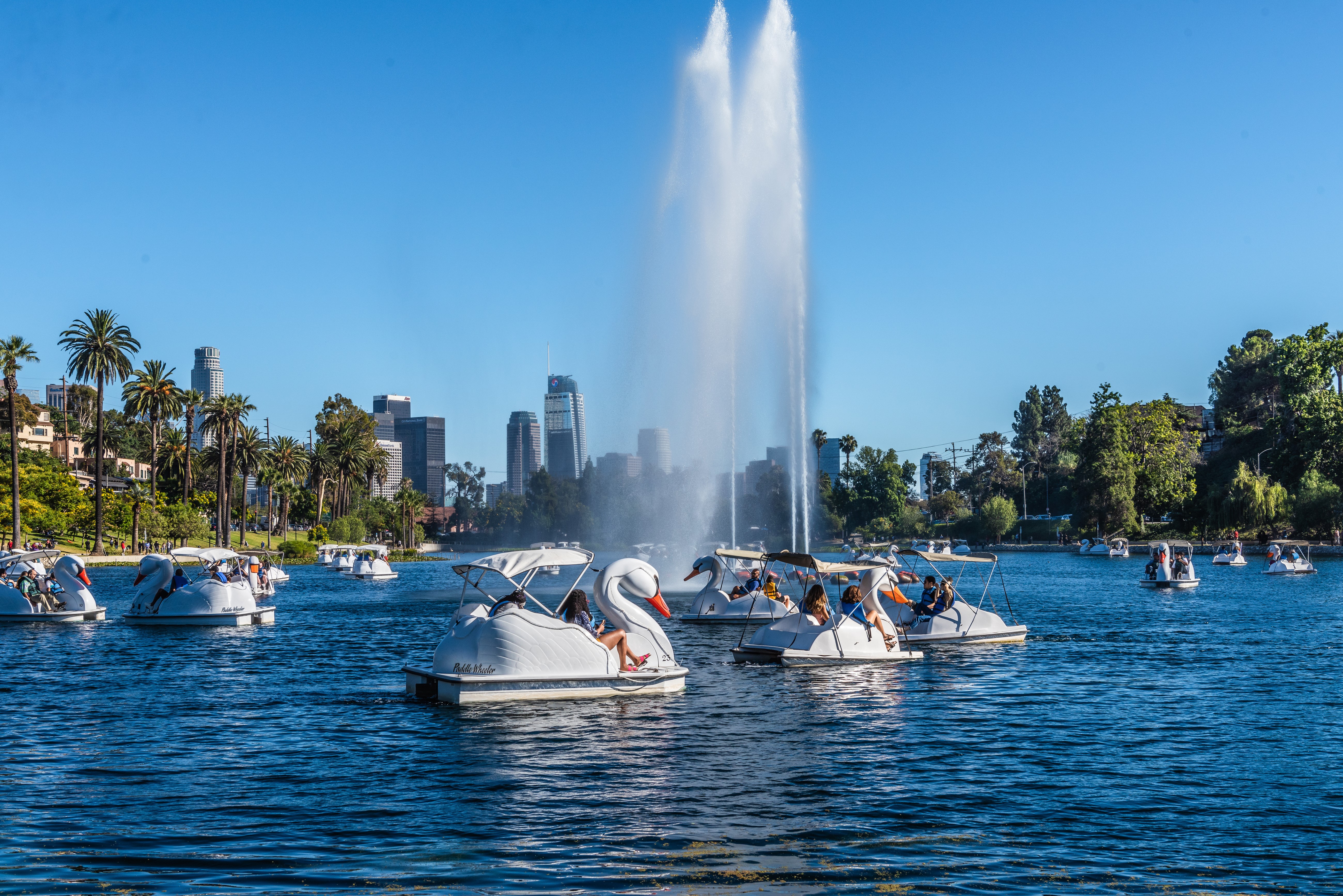 Echo Park Lake with Swan Boats and Los Angeles Skyline HD Wallpaper