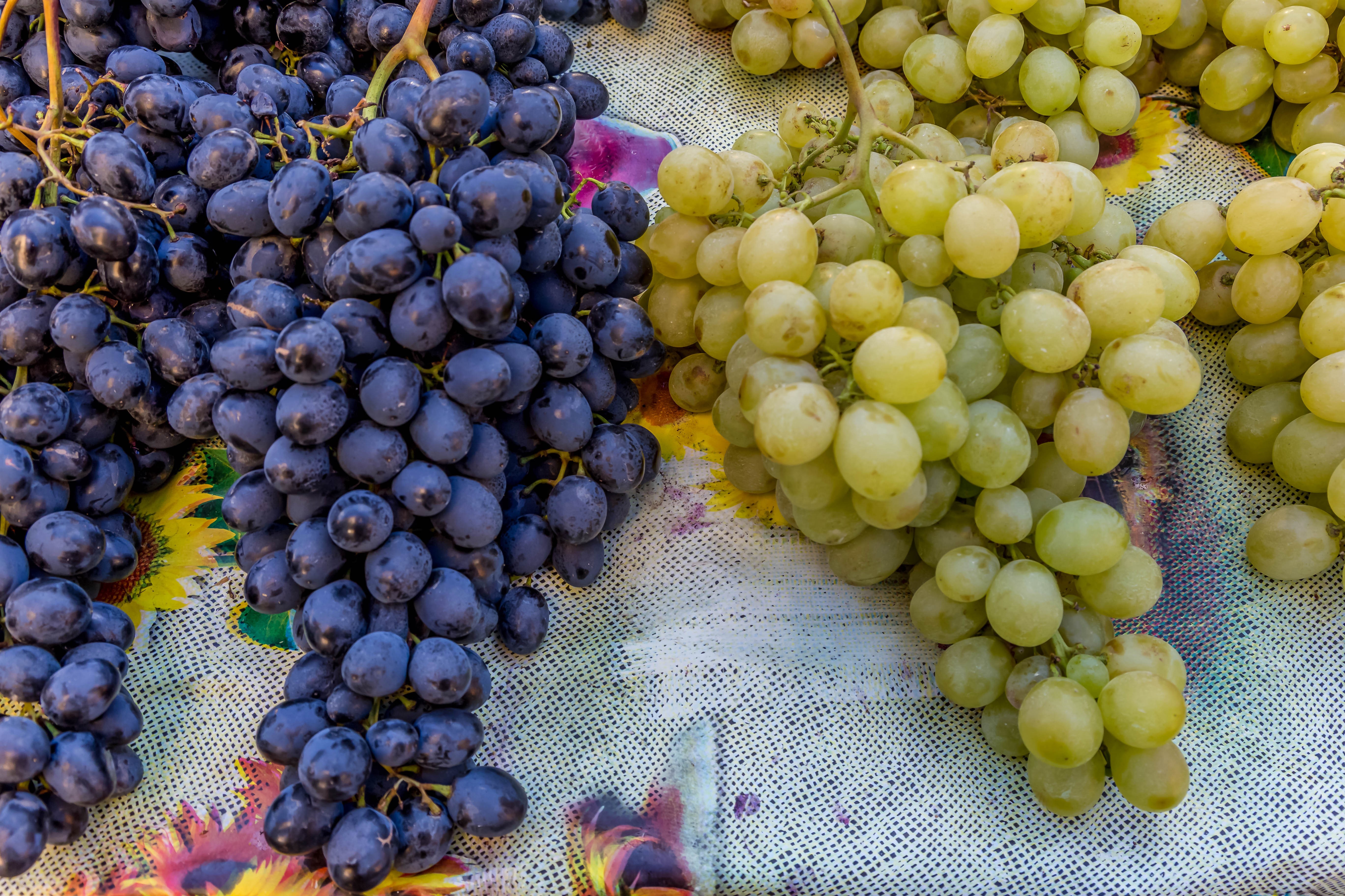 Grapes closeup HD Wallpaper