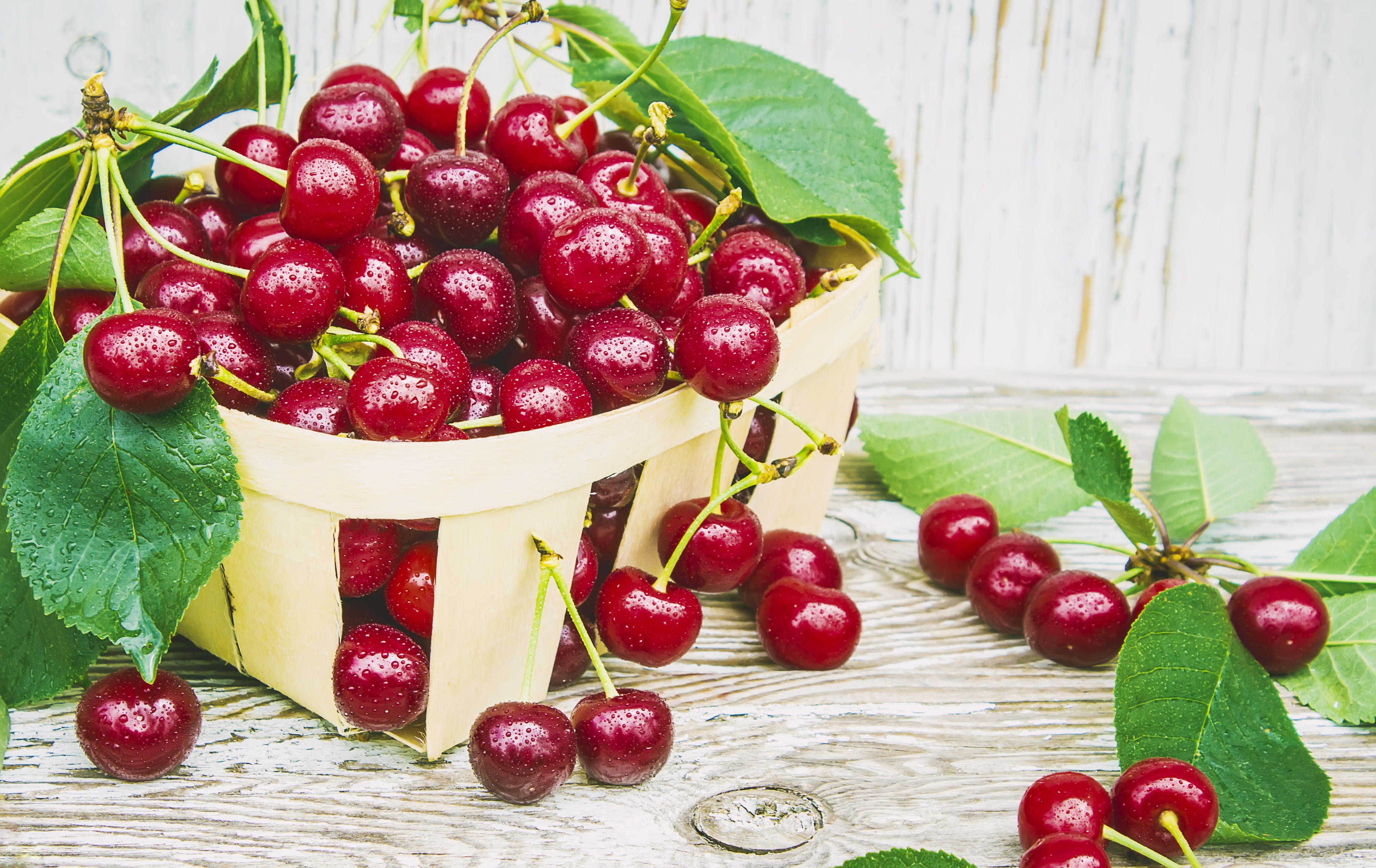 Cherries in a Wicker Basket HD Wallpaper