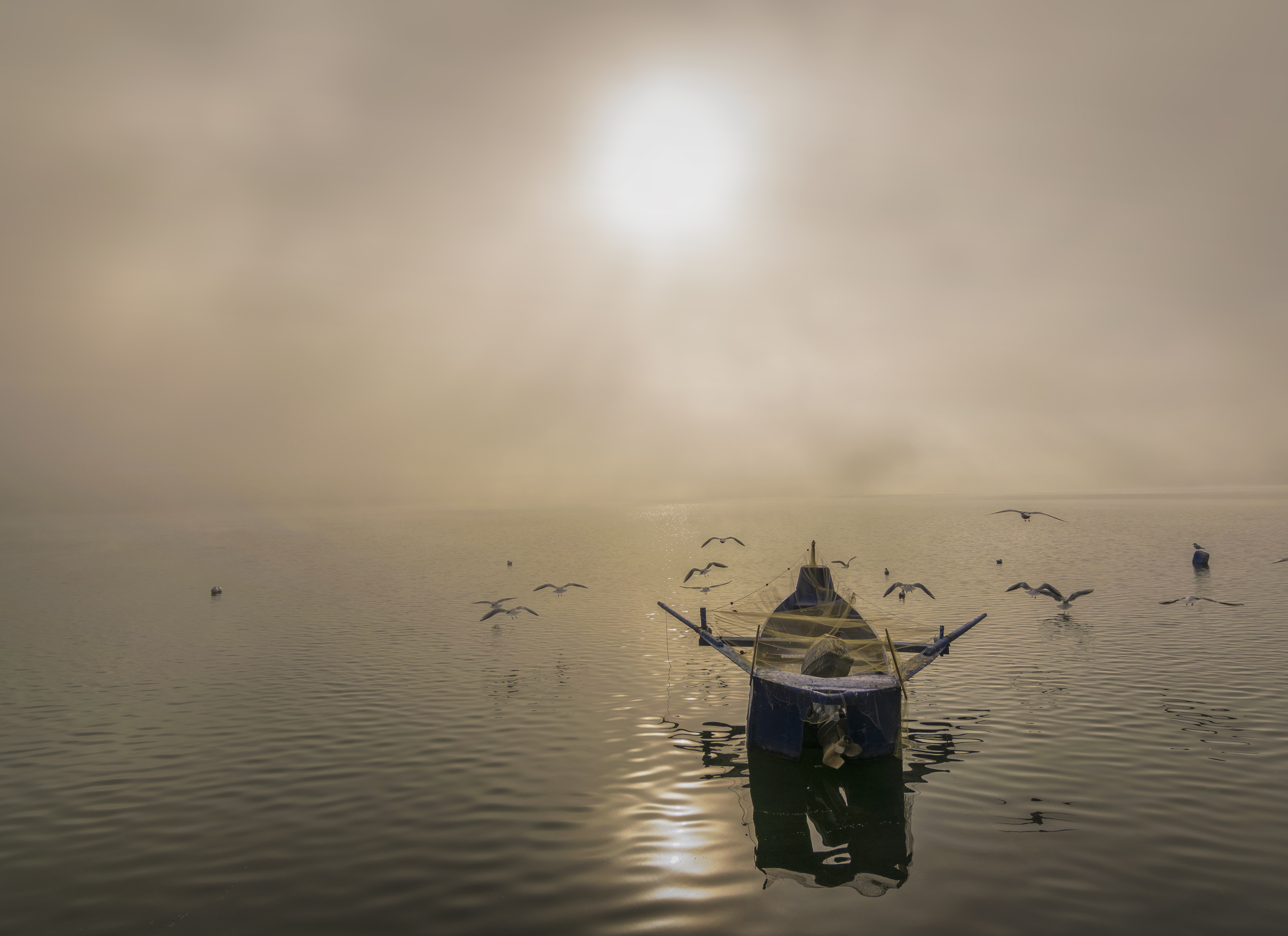 Boat and seagulls in fog with sun HD Wallpaper