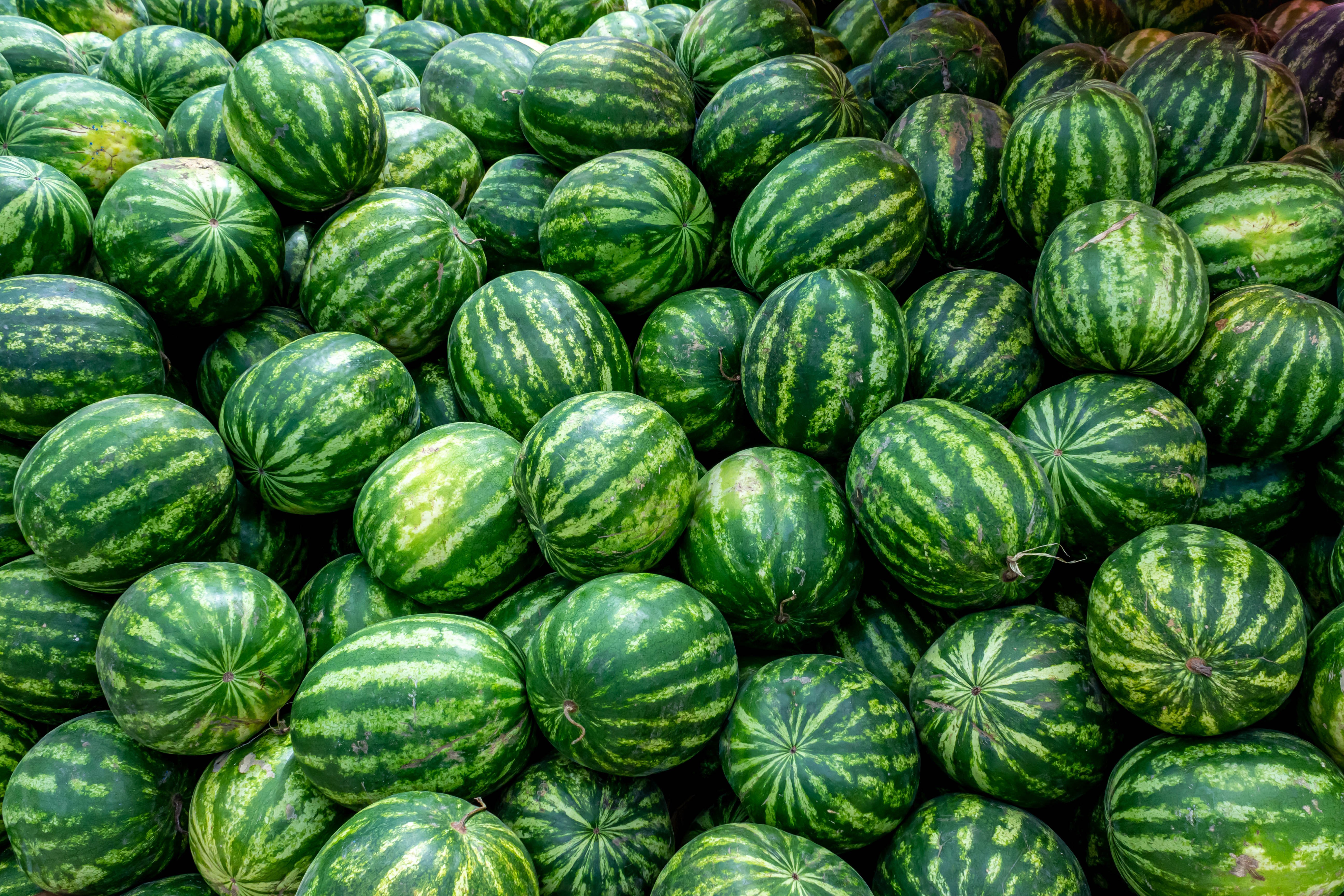 Many watermelons texture HD Wallpaper