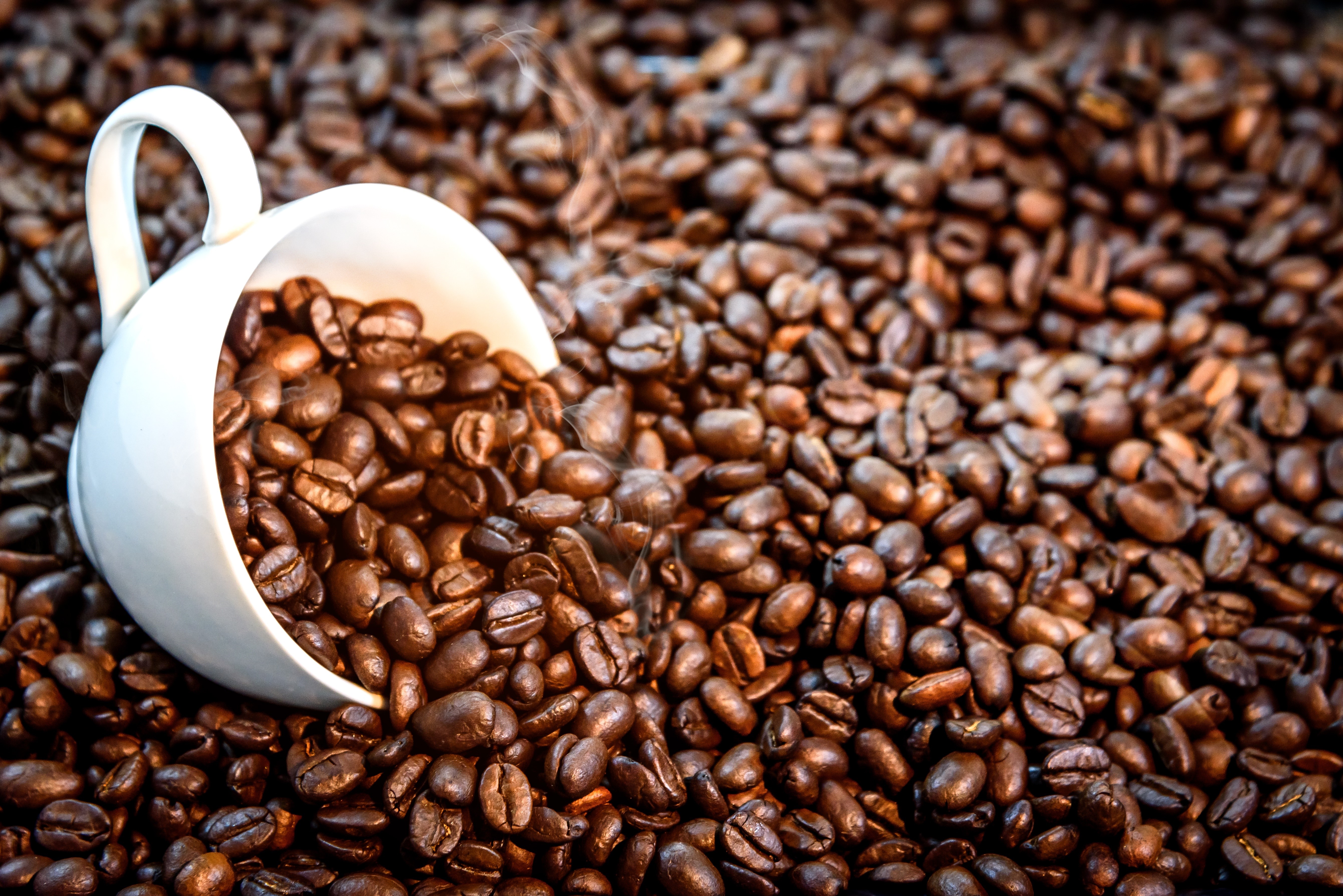 White cup spilling coffee beans on a bed of coffee beans HD Wallpaper
