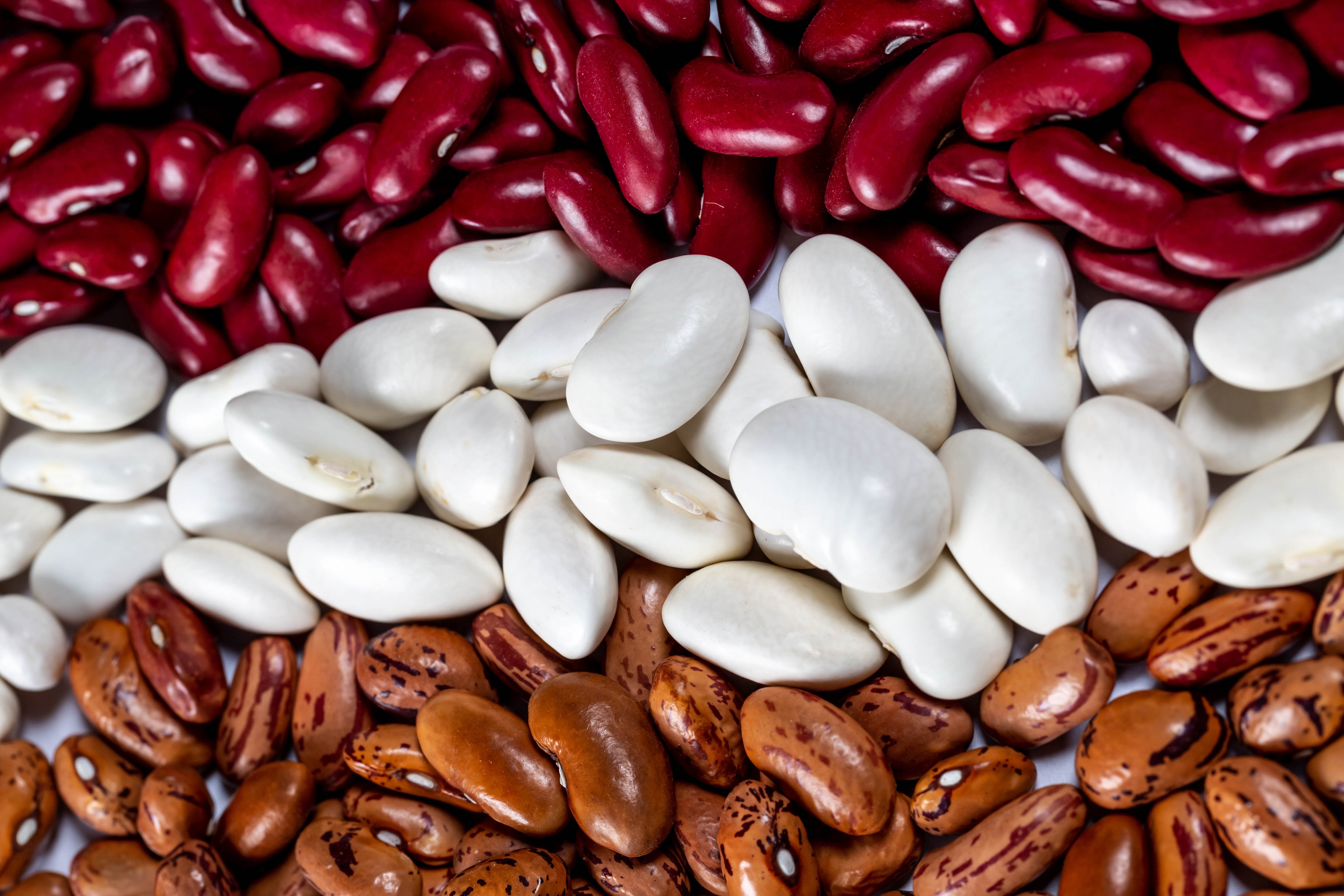 4K Beans Texture Many Multicolor HD Wallpaper