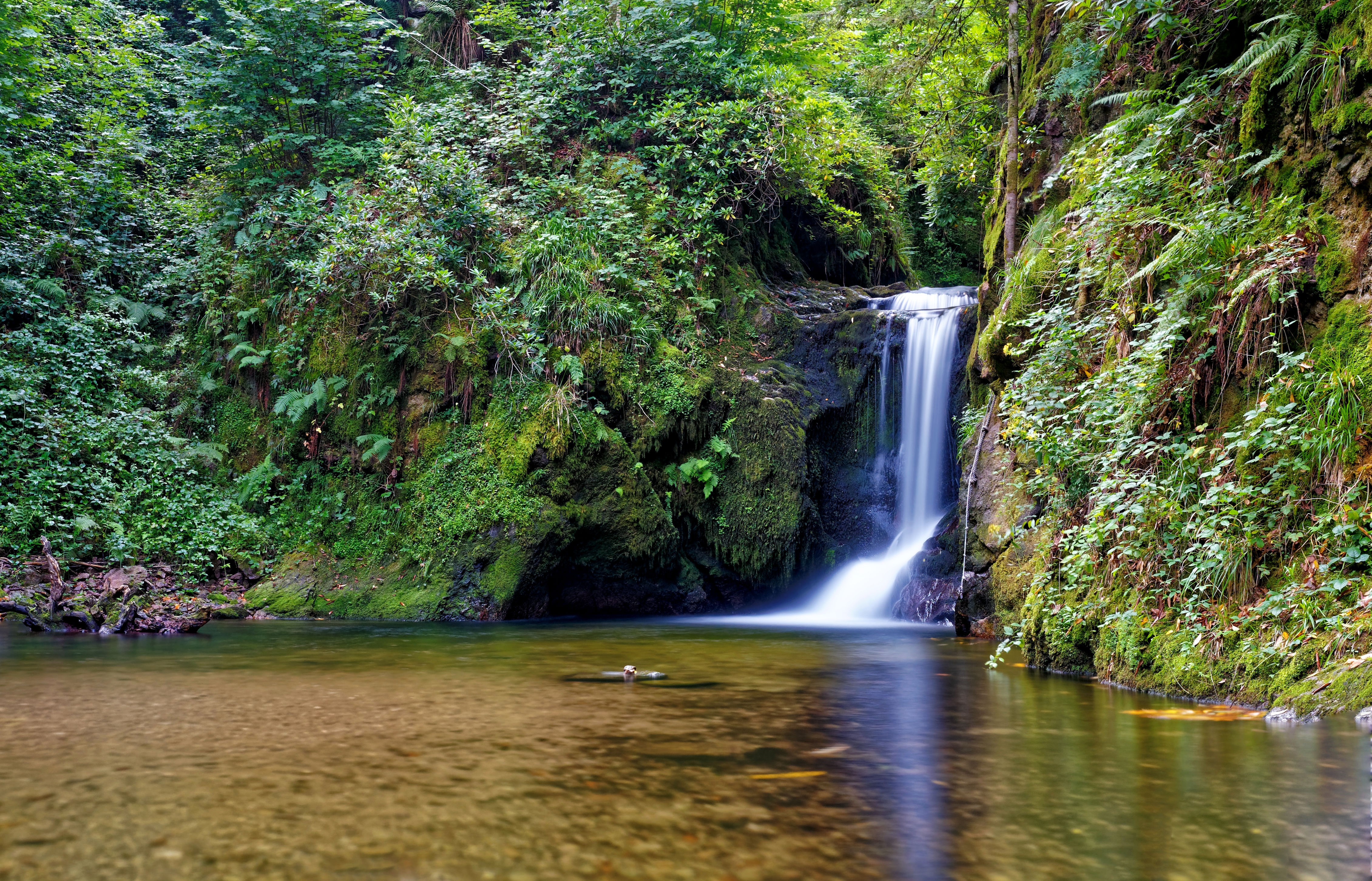 Geroldsau Wasserfall 4K Waterfall in Germany HD Wallpaper