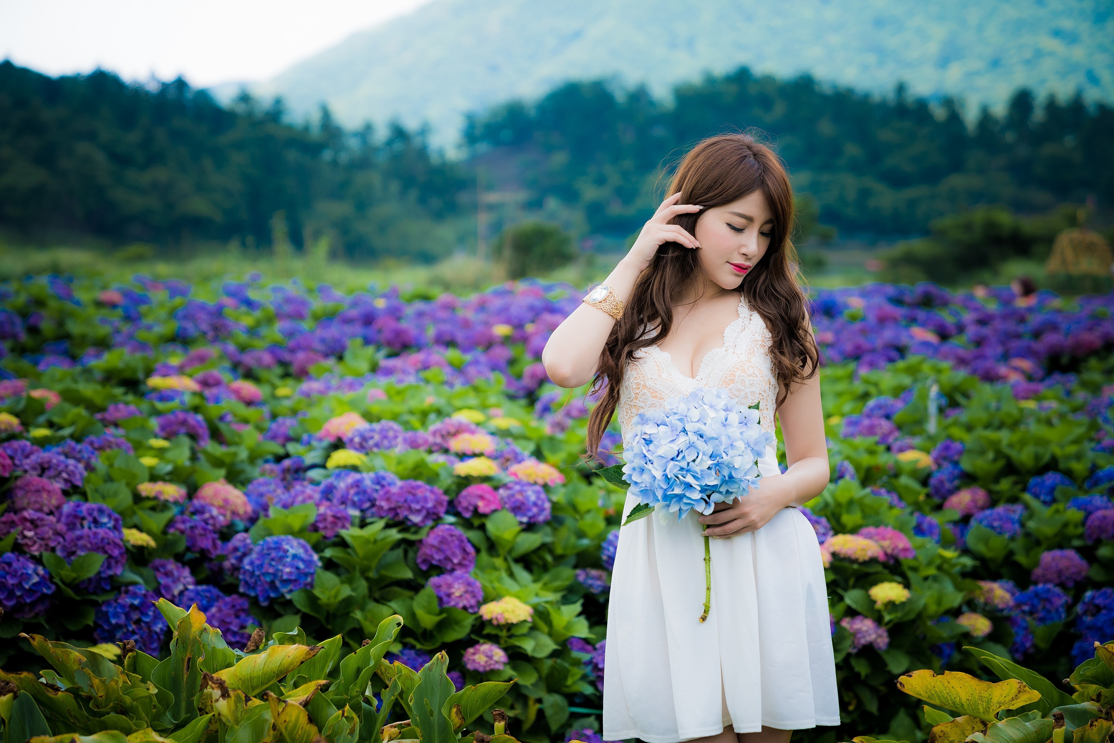 Asian woman in white dress holding blue hydrangeas HD Wallpaper