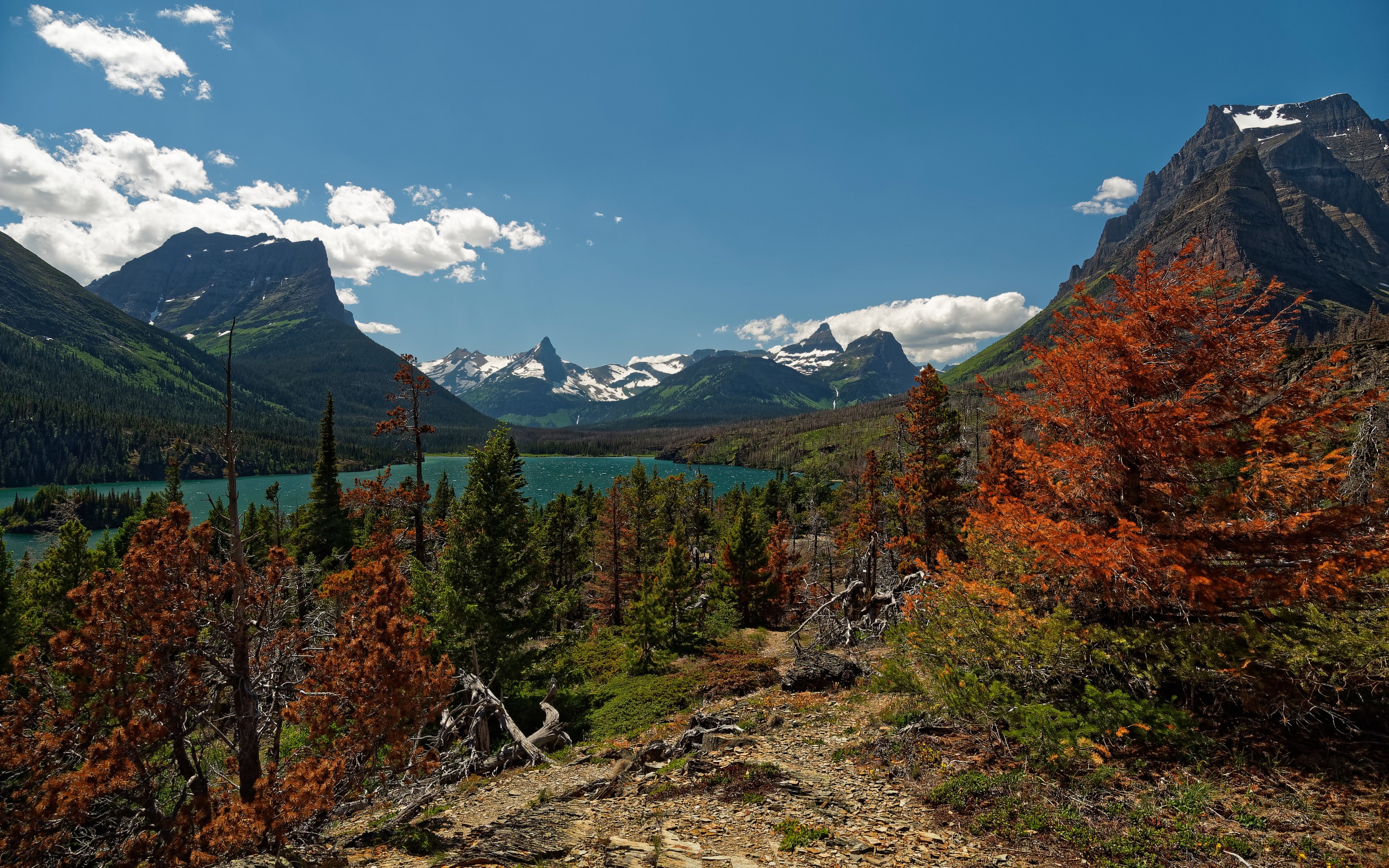 Saint Mary Lake in Glacier National Park with Mountains and Autumn Trees HD Wallpaper