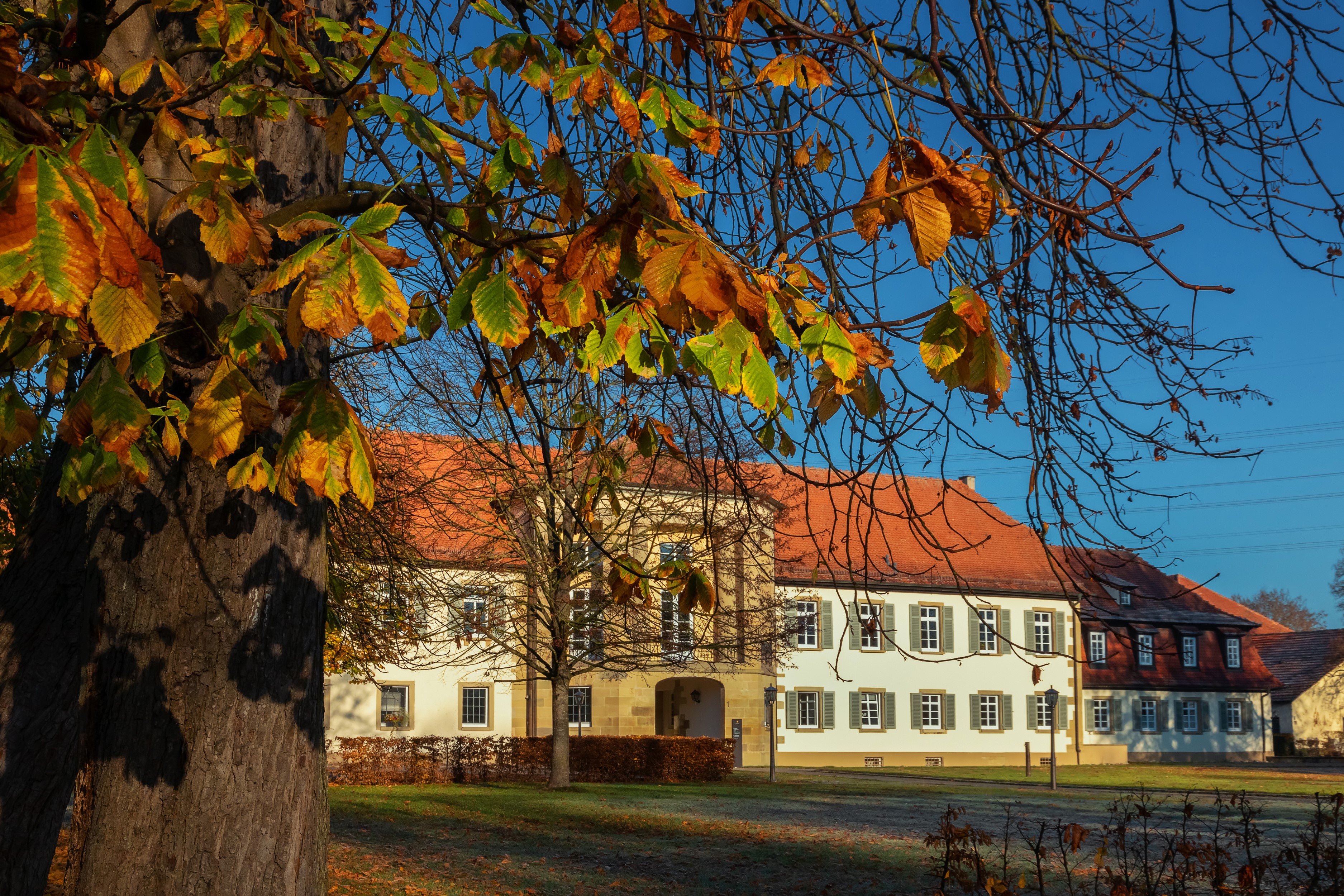 Monrepos Palace in Germany during Autumn HD Wallpaper