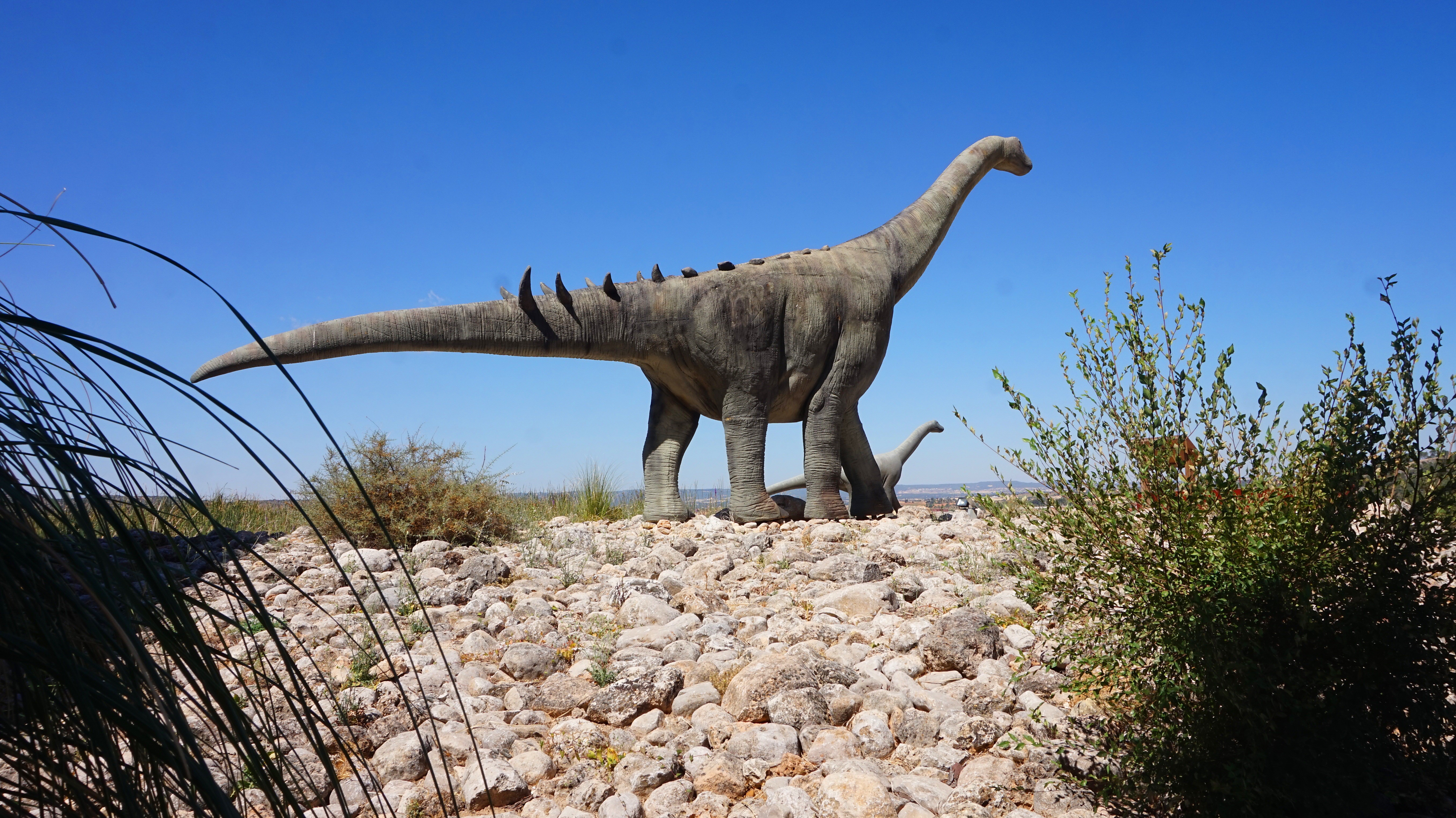 Brontosaurus sculptures on stones under blue sky HD Wallpaper