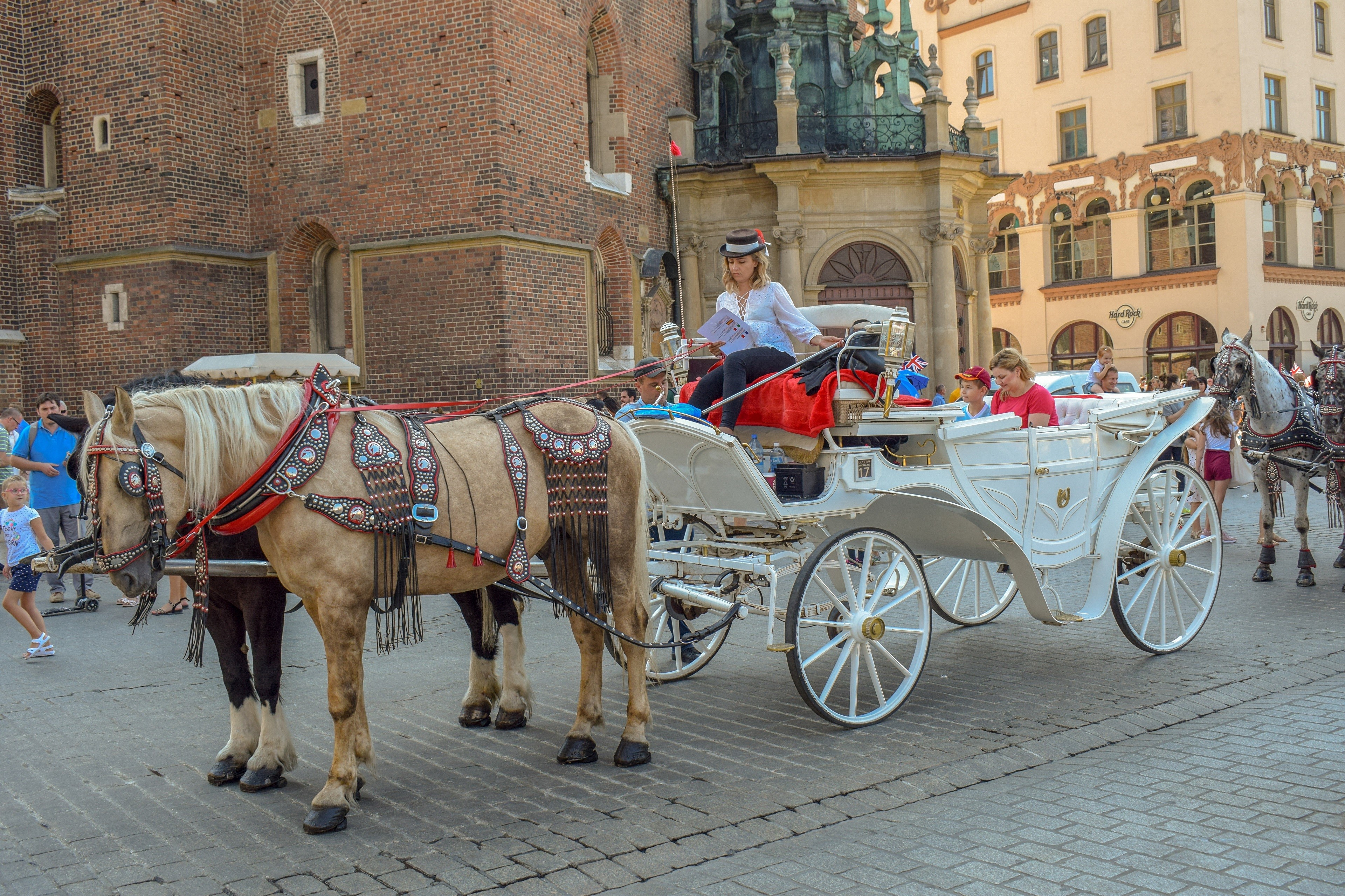 Horses pulling a carriage with people in a city square HD Wallpaper