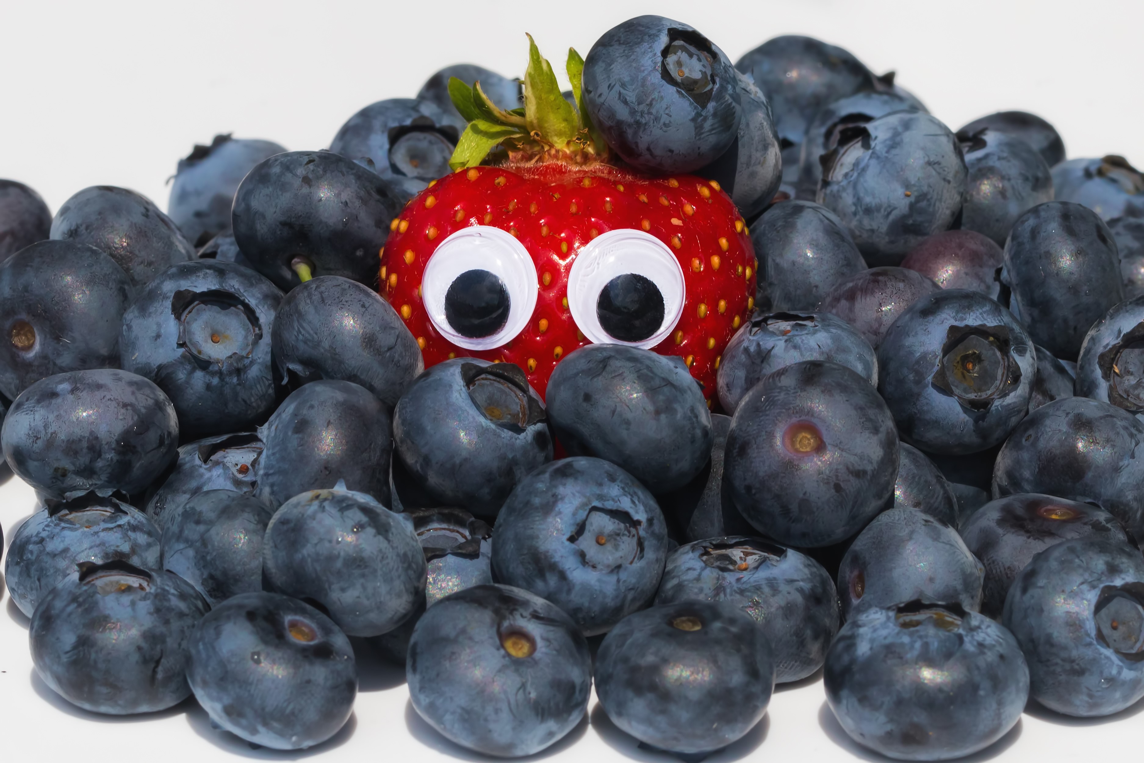 Strawberry with googly eyes surrounded by blueberries HD Wallpaper