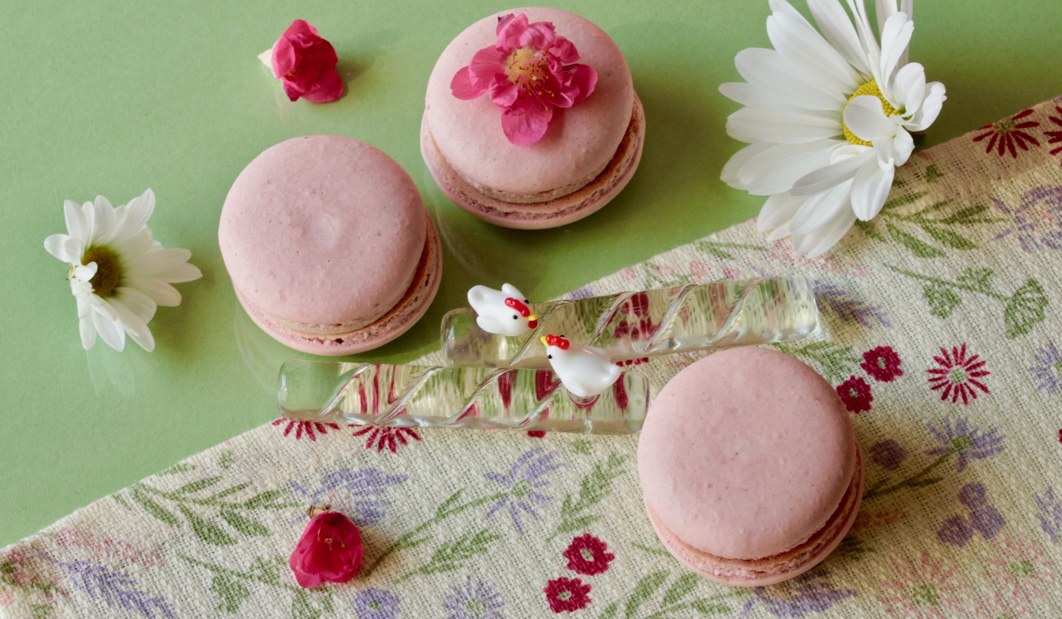Pink macarons with flowers and chickens HD Wallpaper
