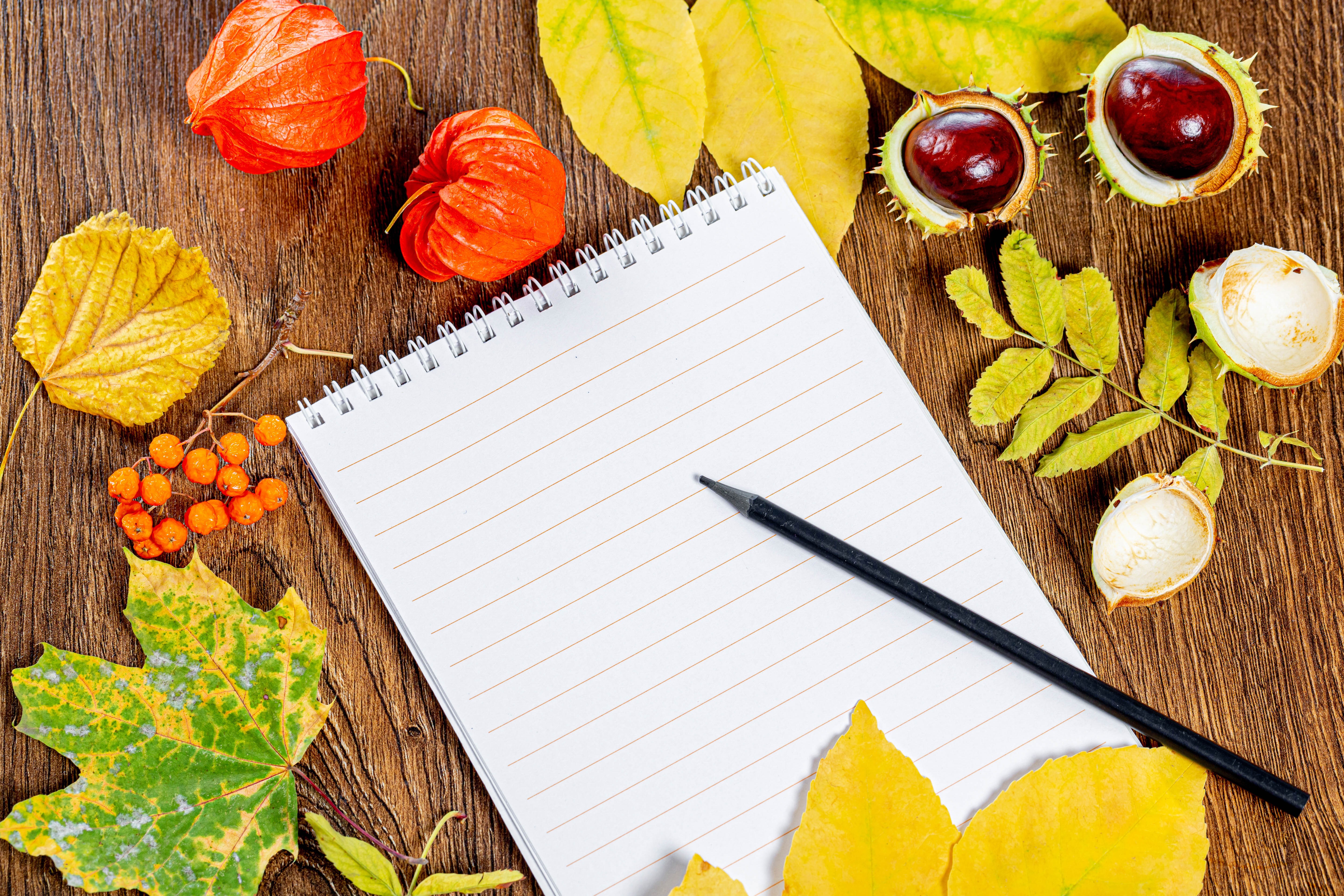 Autumn still life with notepad and pencil HD Wallpaper