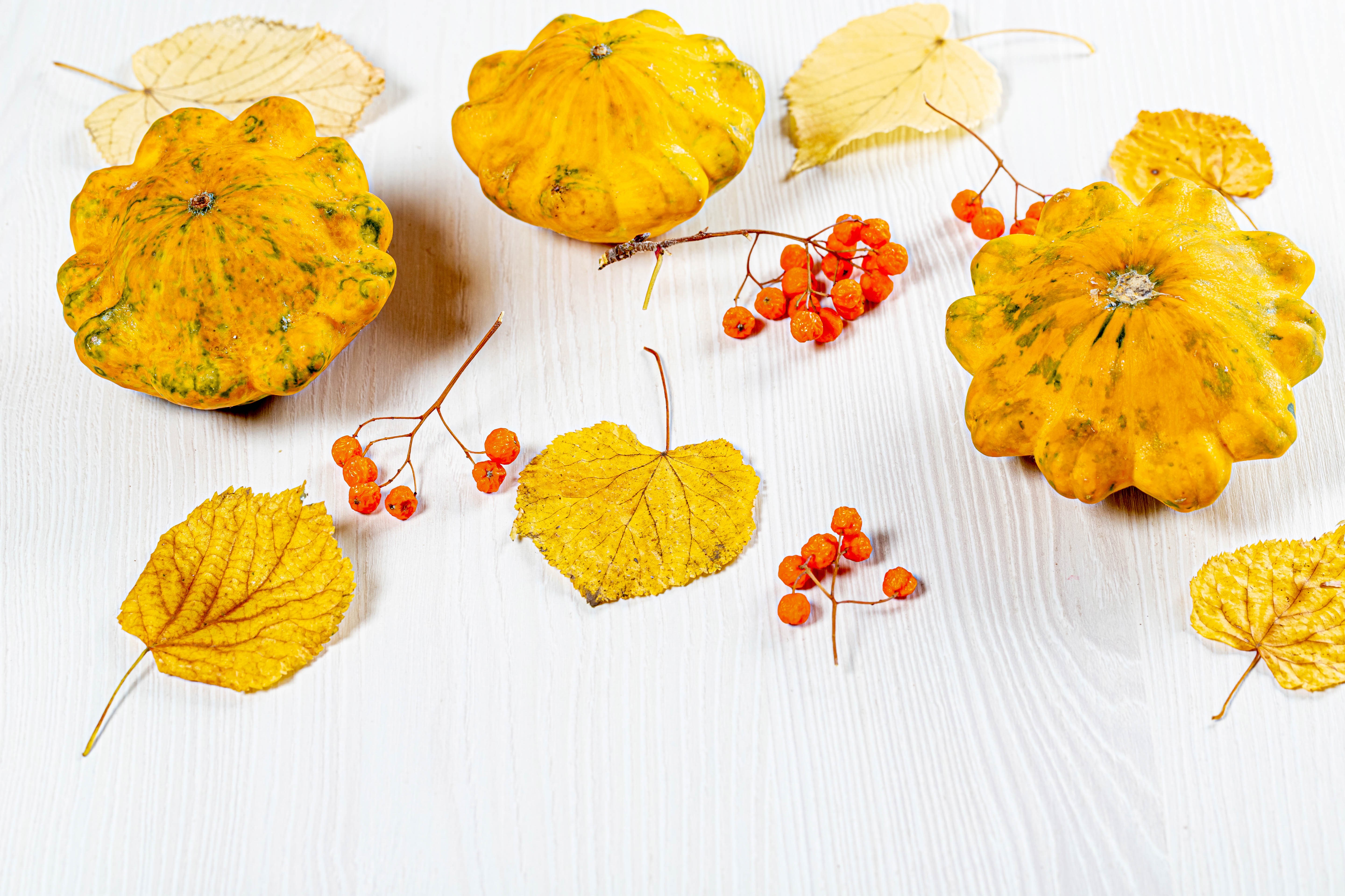 Autumn squash and berries on white background HD Wallpaper