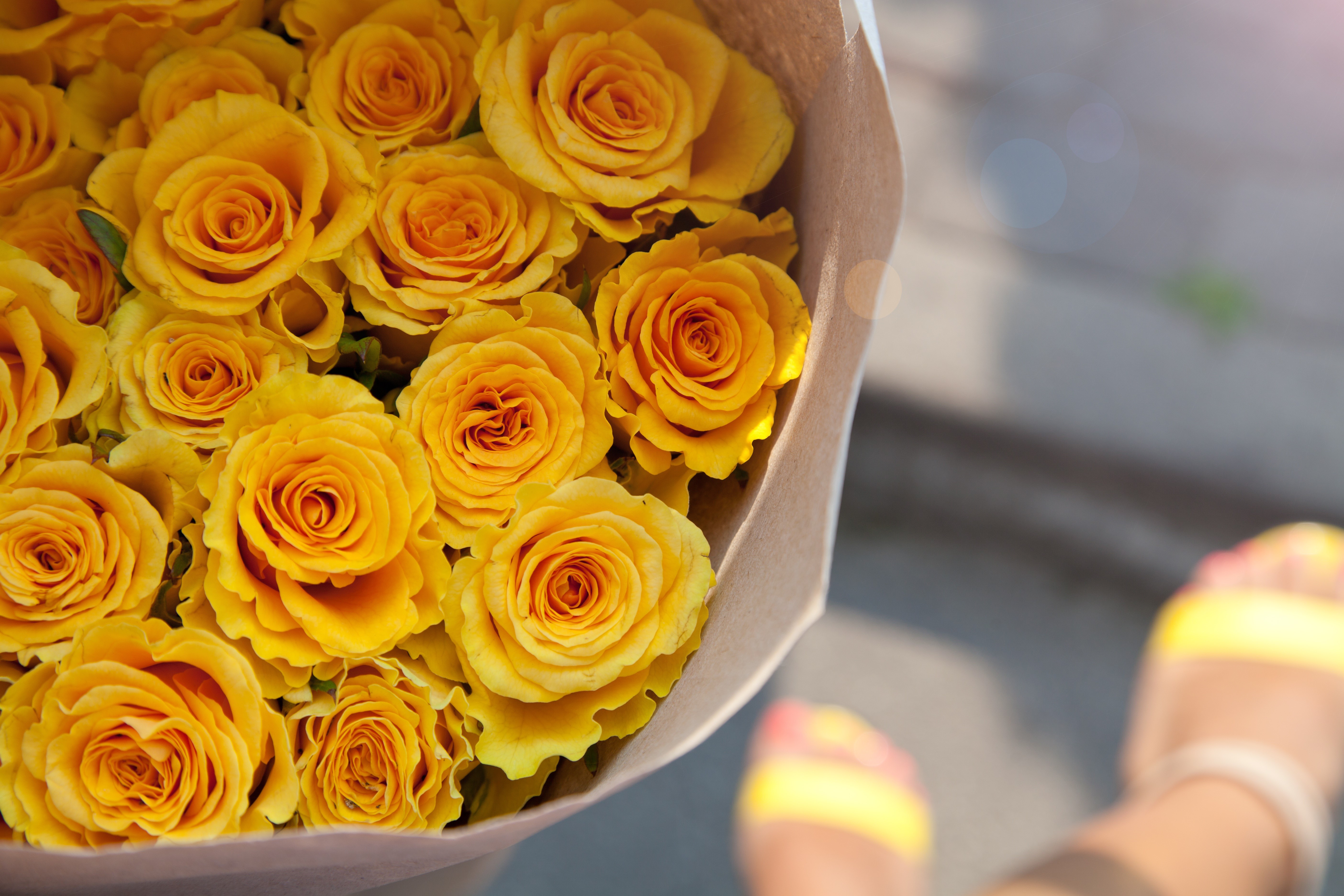 Bouquet of Yellow Roses HD Wallpaper