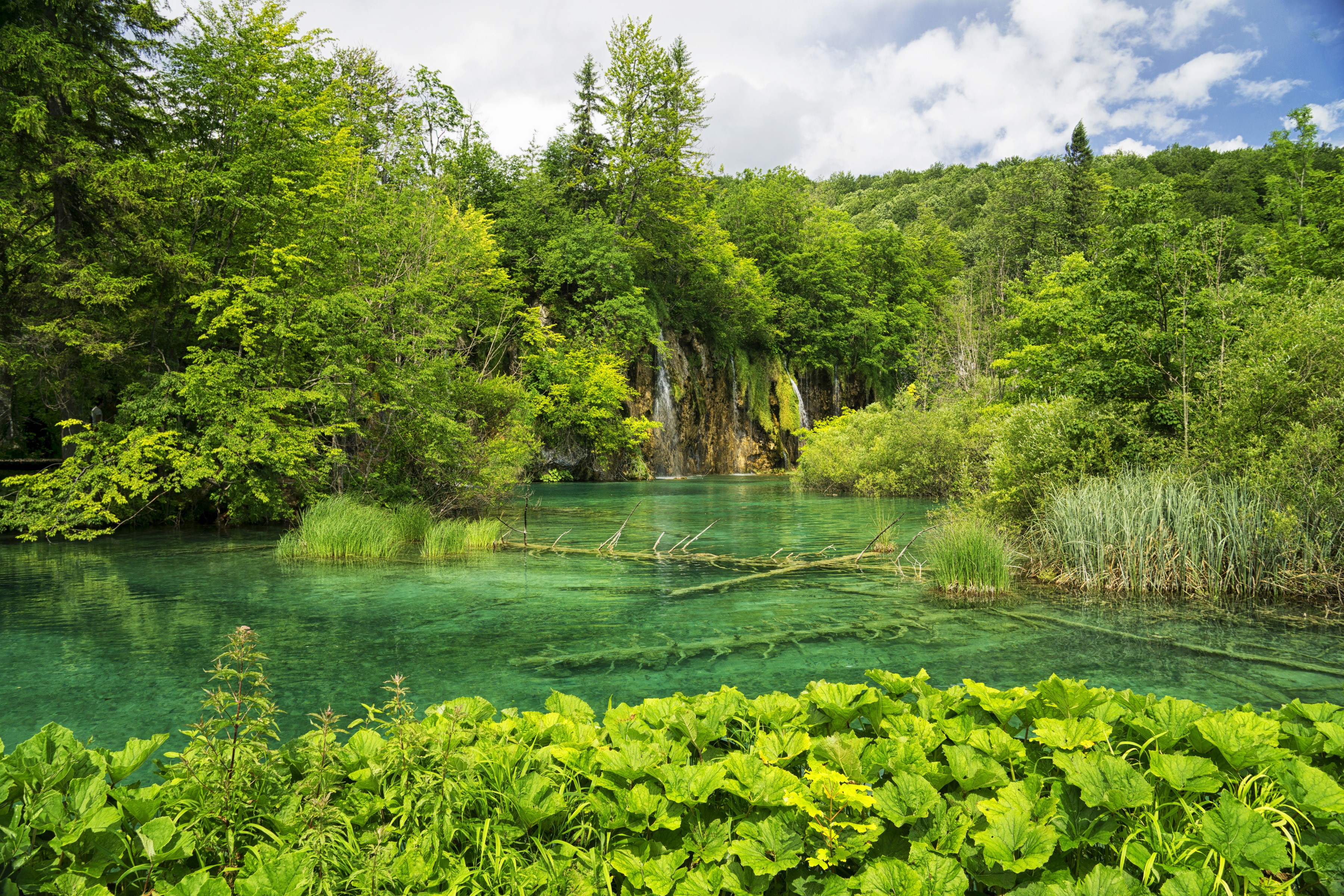 Plitvice Lakes National Park, Croatia, with waterfalls and forests HD Wallpaper