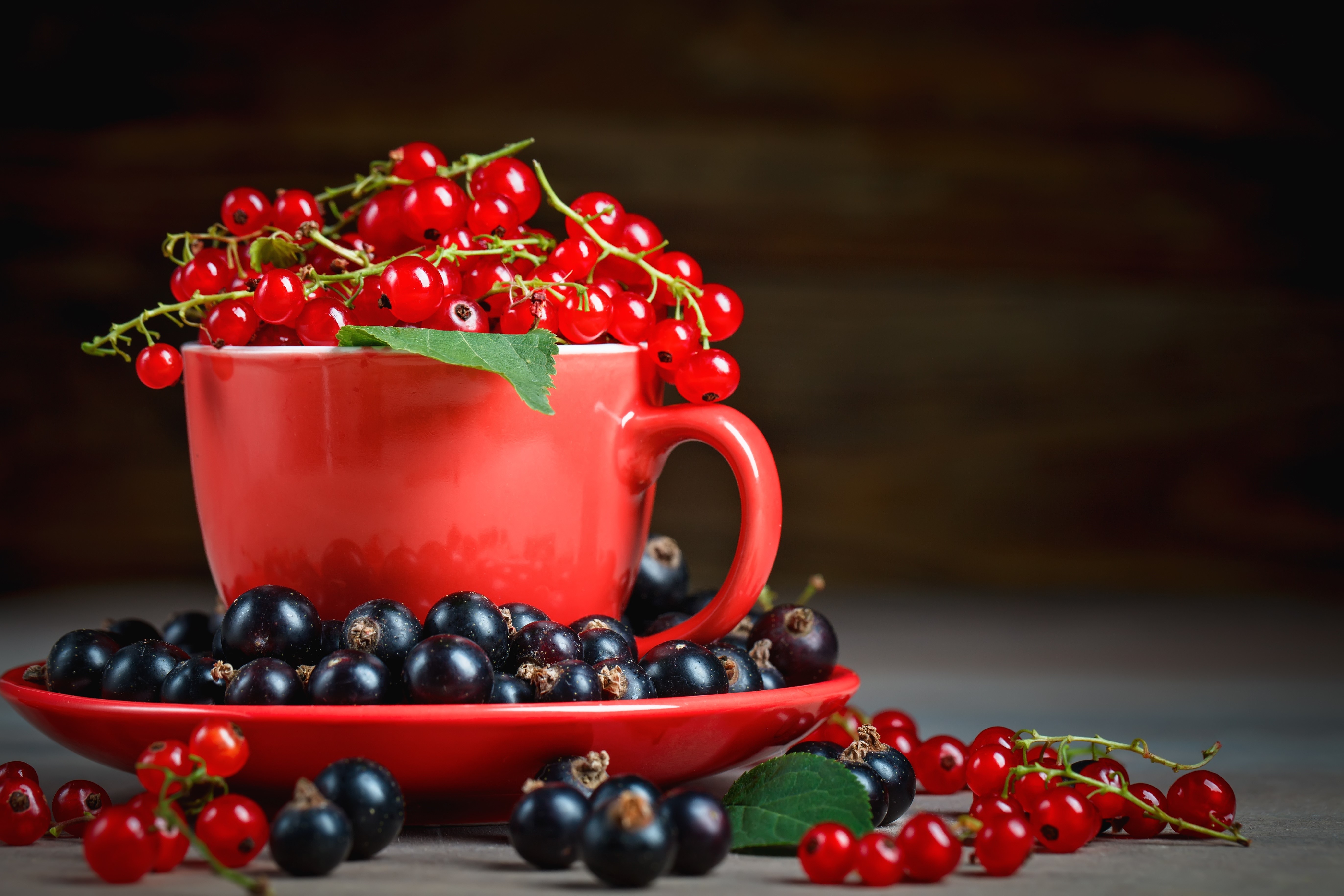 Red and Black Currants in a Red Cup and Saucer HD Wallpaper