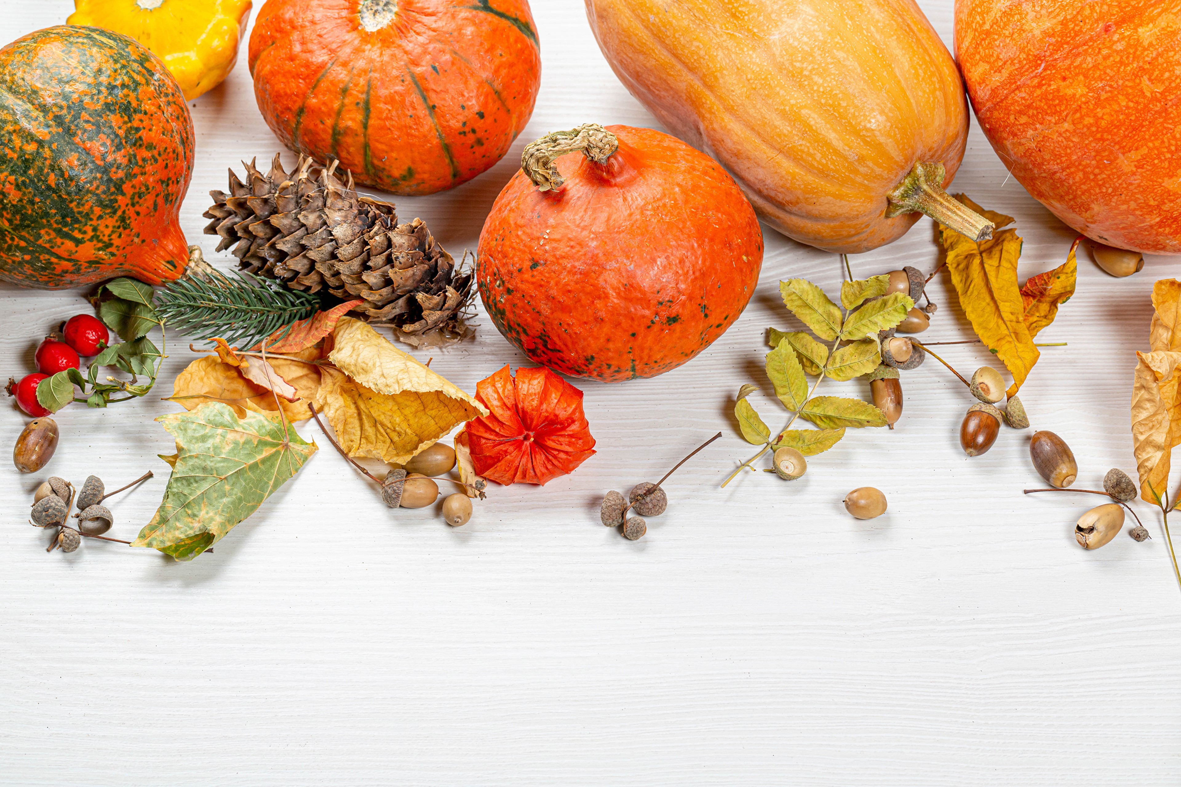 Autumn harvest with pumpkins, pine cones, and leaves HD Wallpaper