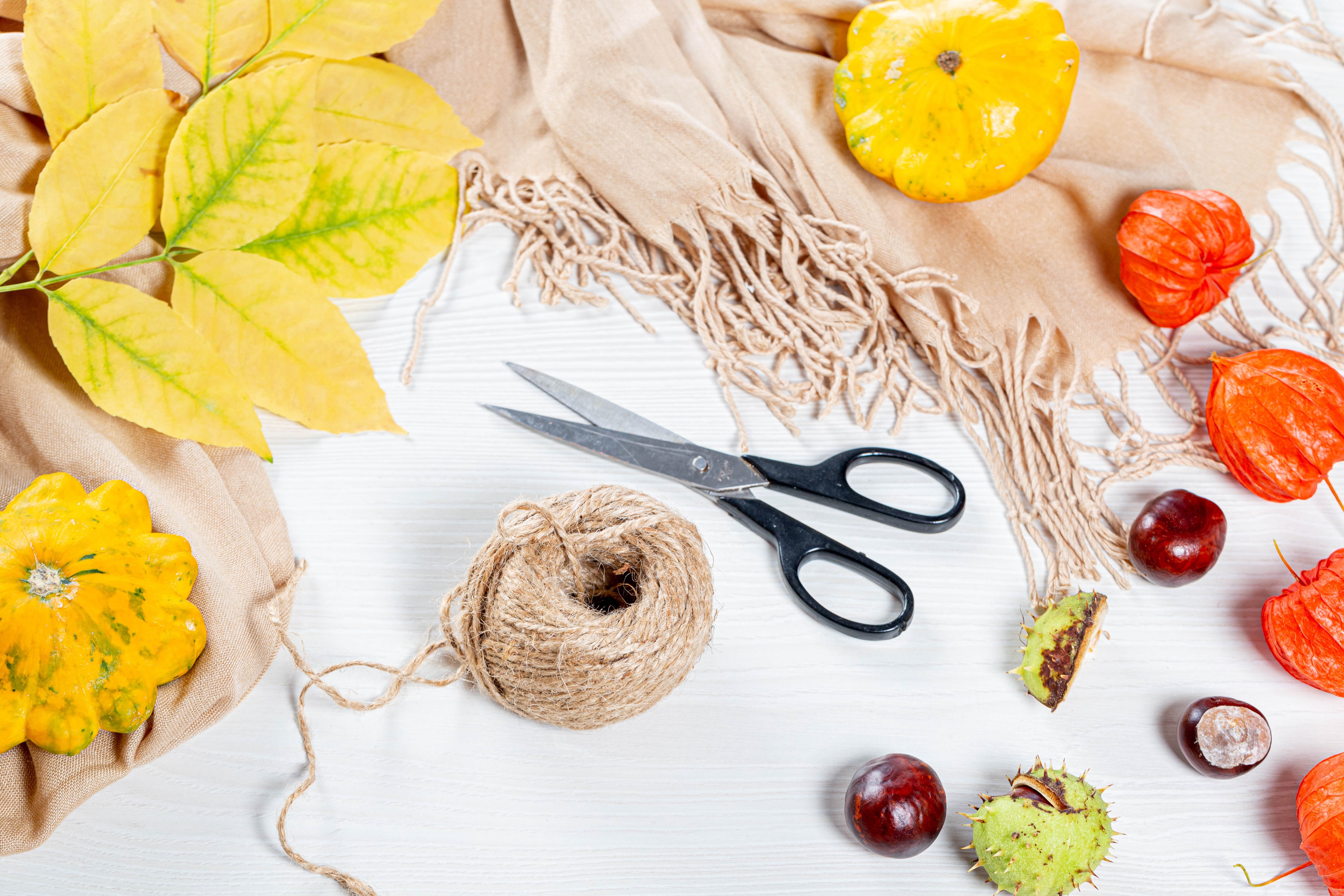 Autumn still life with pumpkins, physalis, chestnuts, and scissors HD Wallpaper