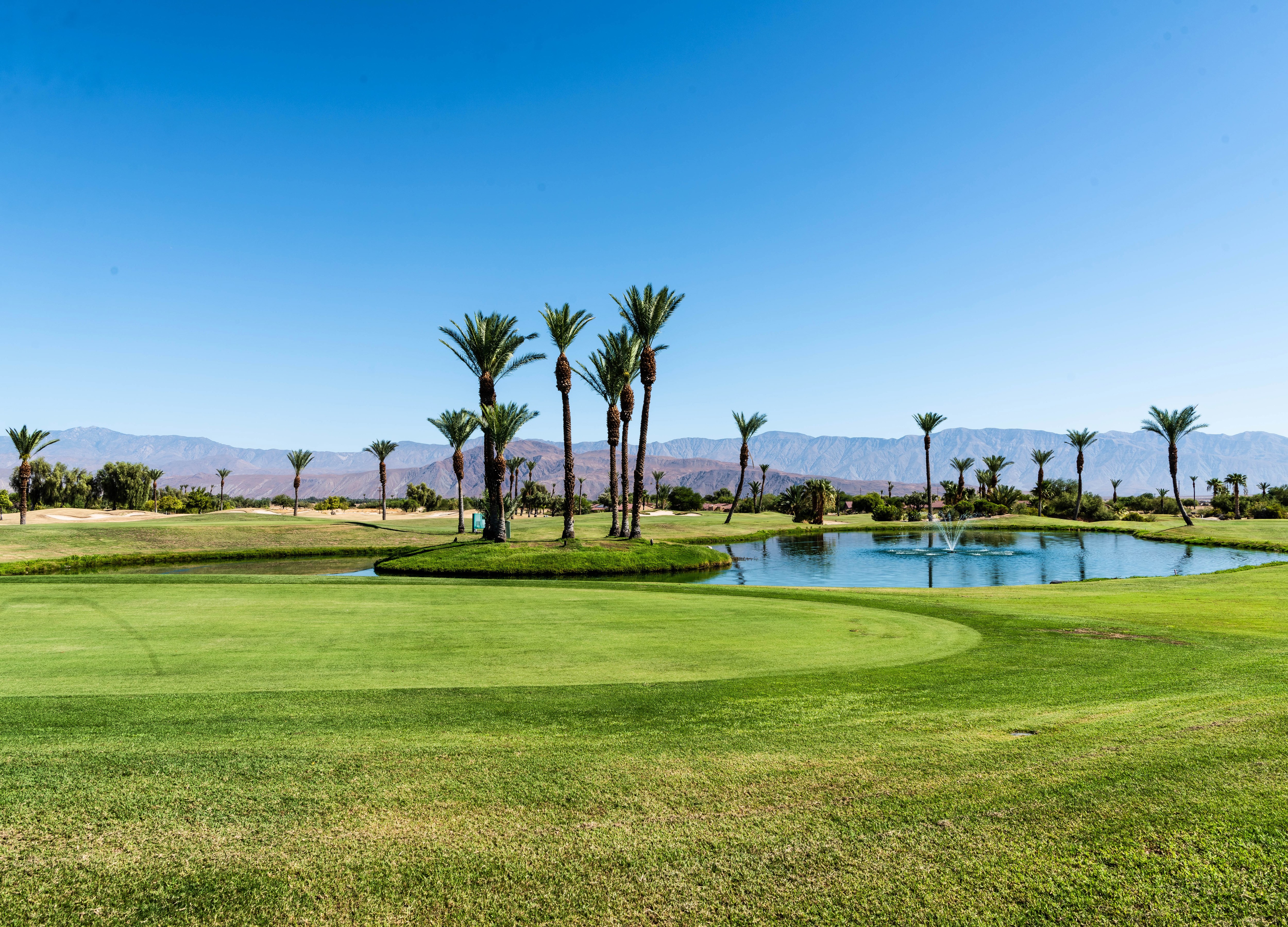 Golf Course with Palm Trees and Pond in Borrego Springs, California HD Wallpaper