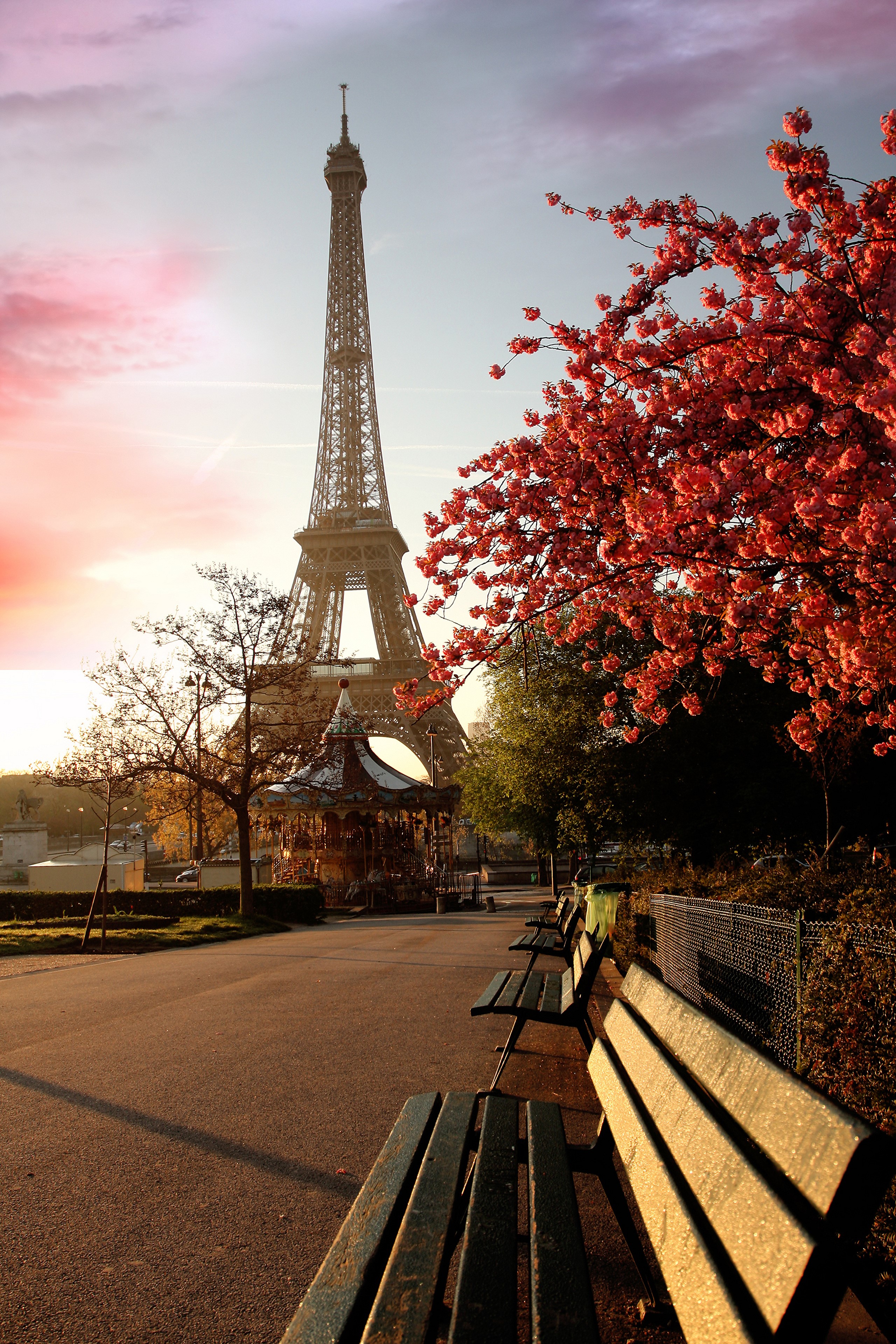 Eiffel Tower with Cherry Blossoms in Paris HD Phone Wallpaper
