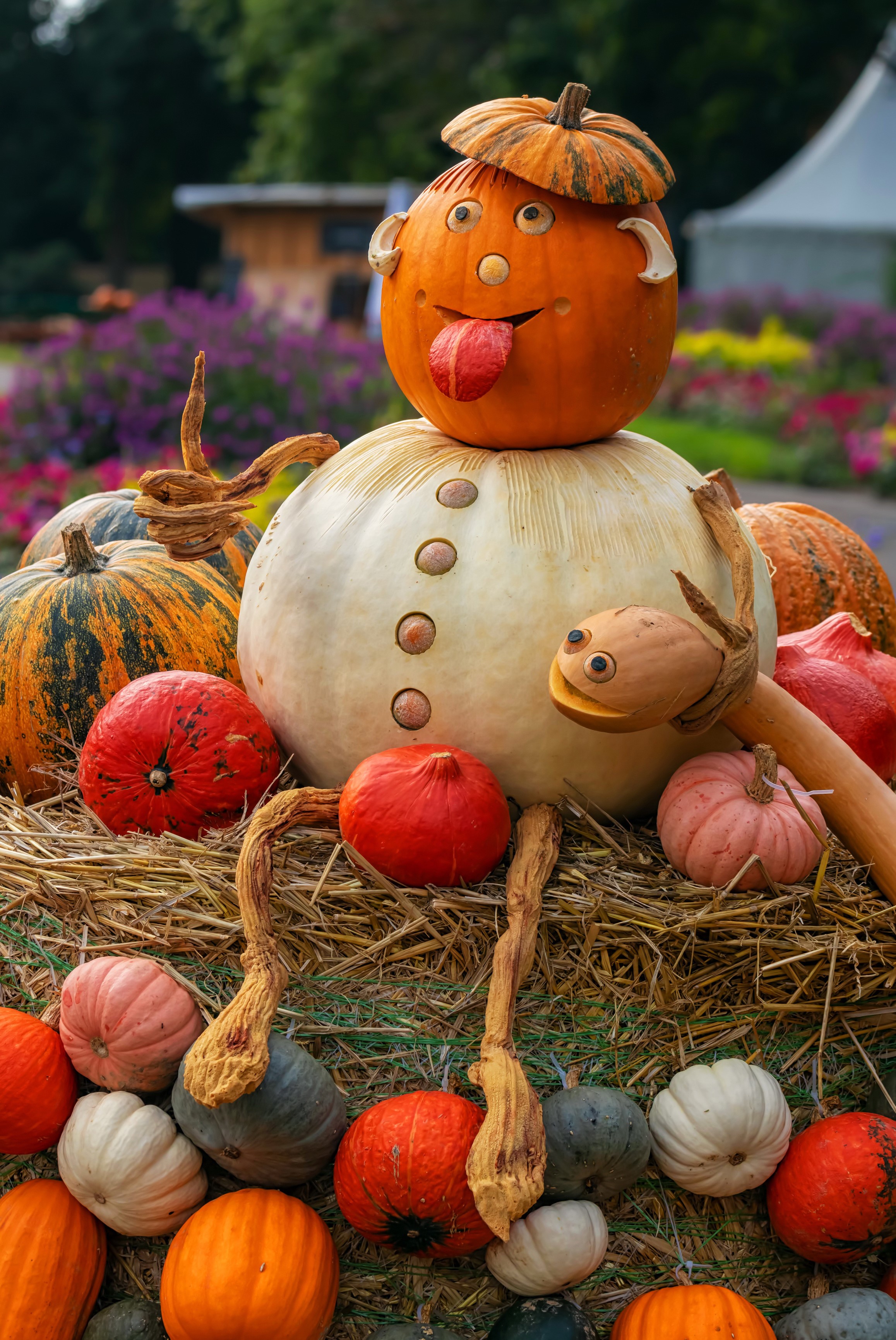 Creative pumpkin decoration with snake elements HD Phone Wallpaper