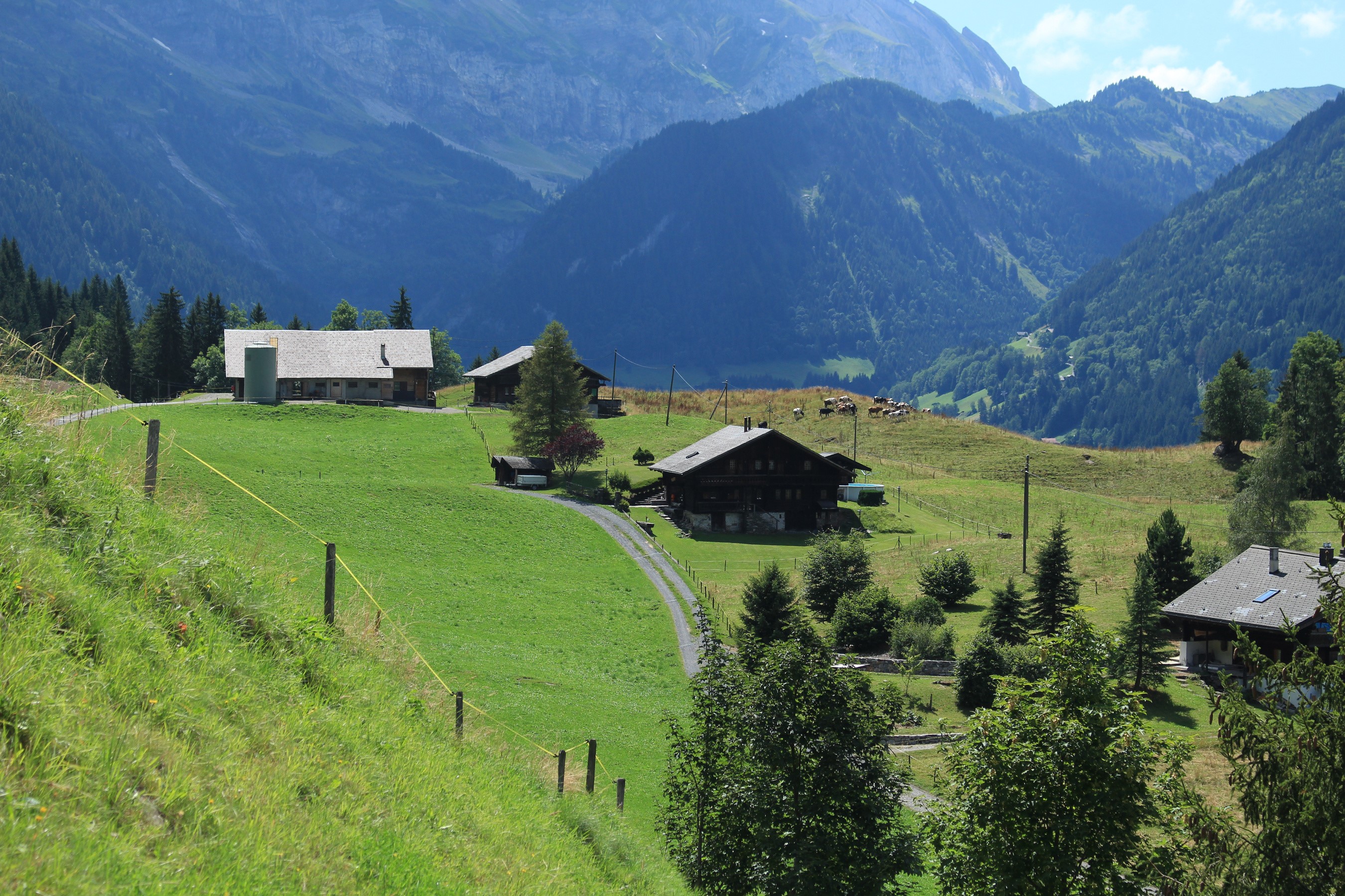 Houses in a Swiss Alpine valley with mountains HD Wallpaper