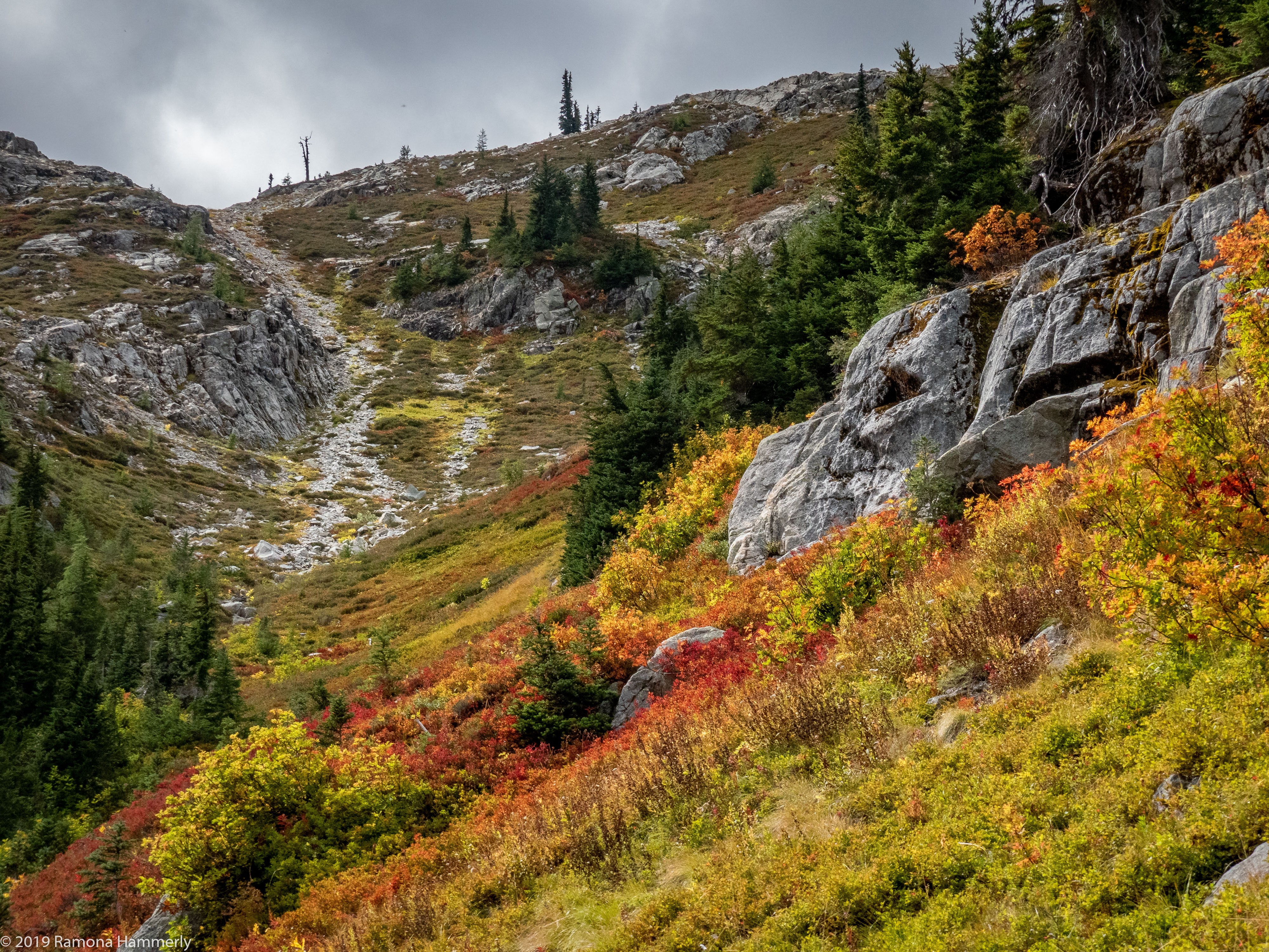 Autumn colors on a mountain slope in North Cascades National Park HD Wallpaper