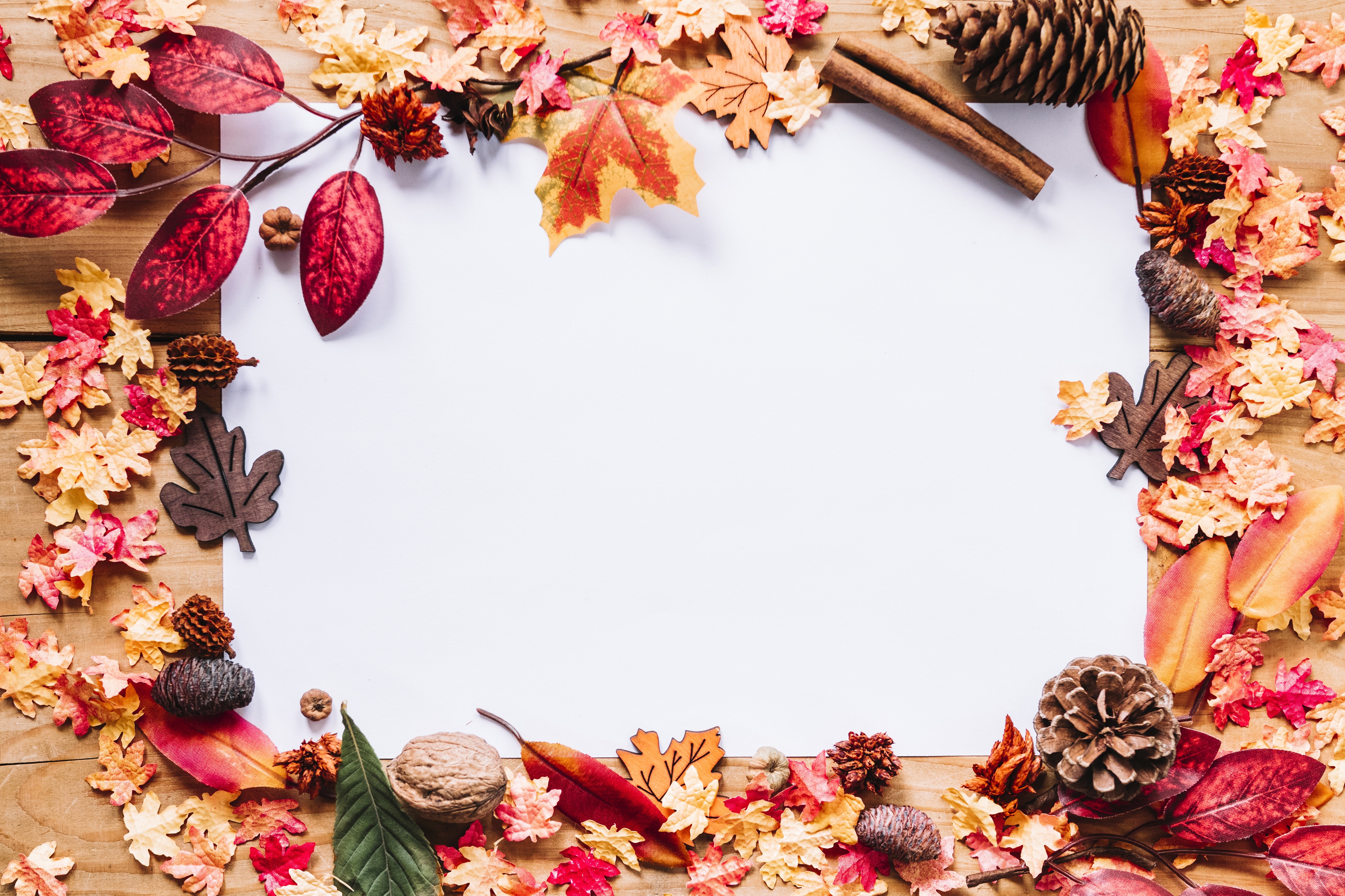 Autumn leaves and pine cones border a blank card HD Wallpaper