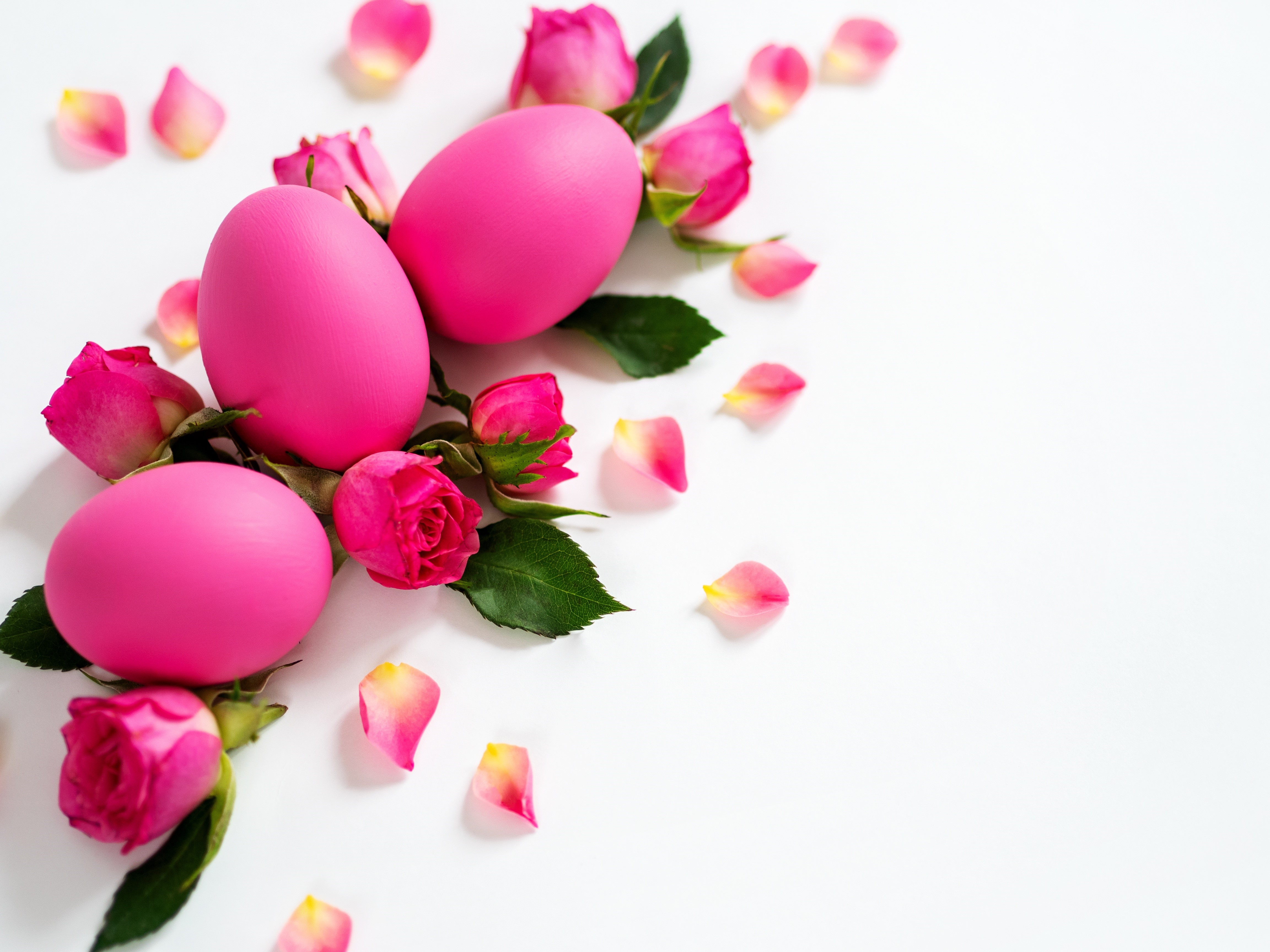Pink Easter Eggs with Roses on White Background HD Wallpaper